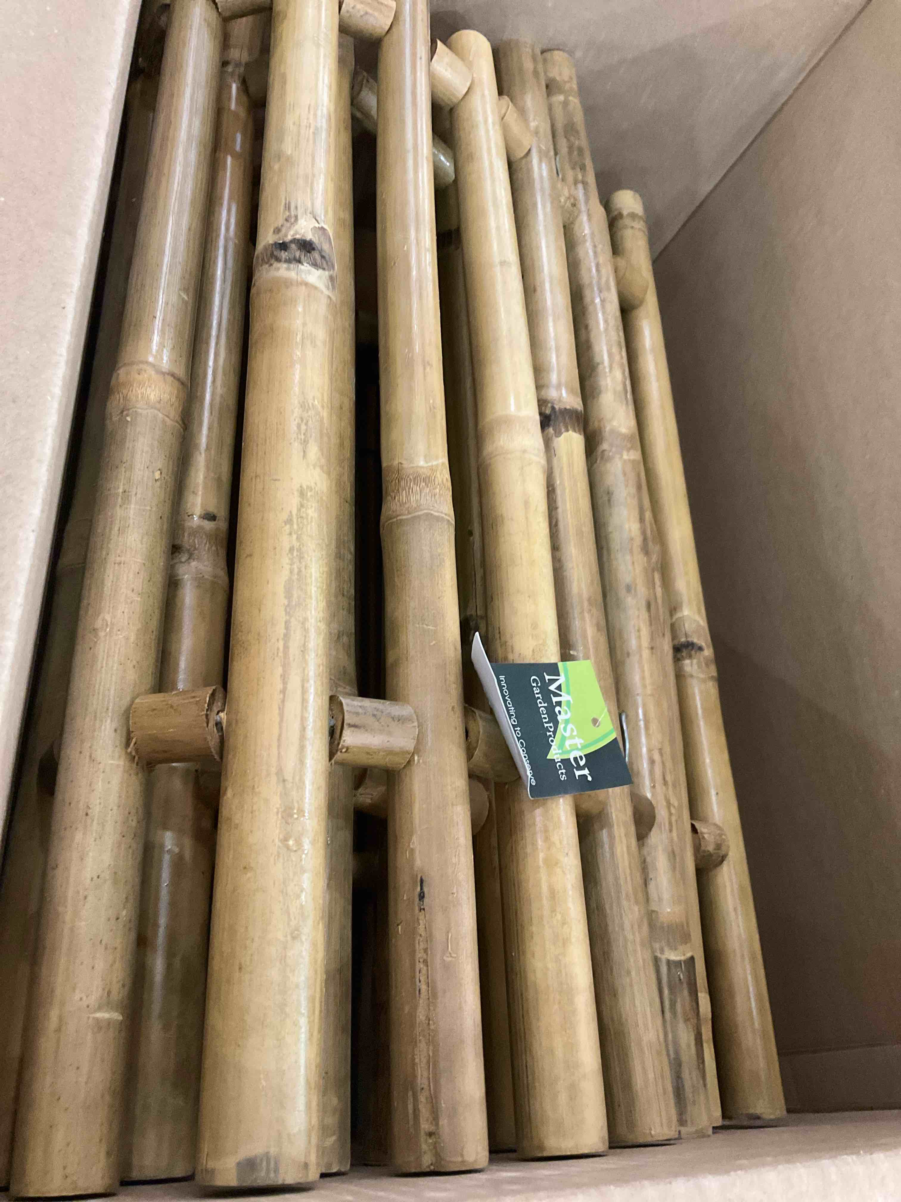 https://s3.amazonaws.com/lotting-images-prod/BargainHunt/EXS01044266_1707840103635.jpeg
