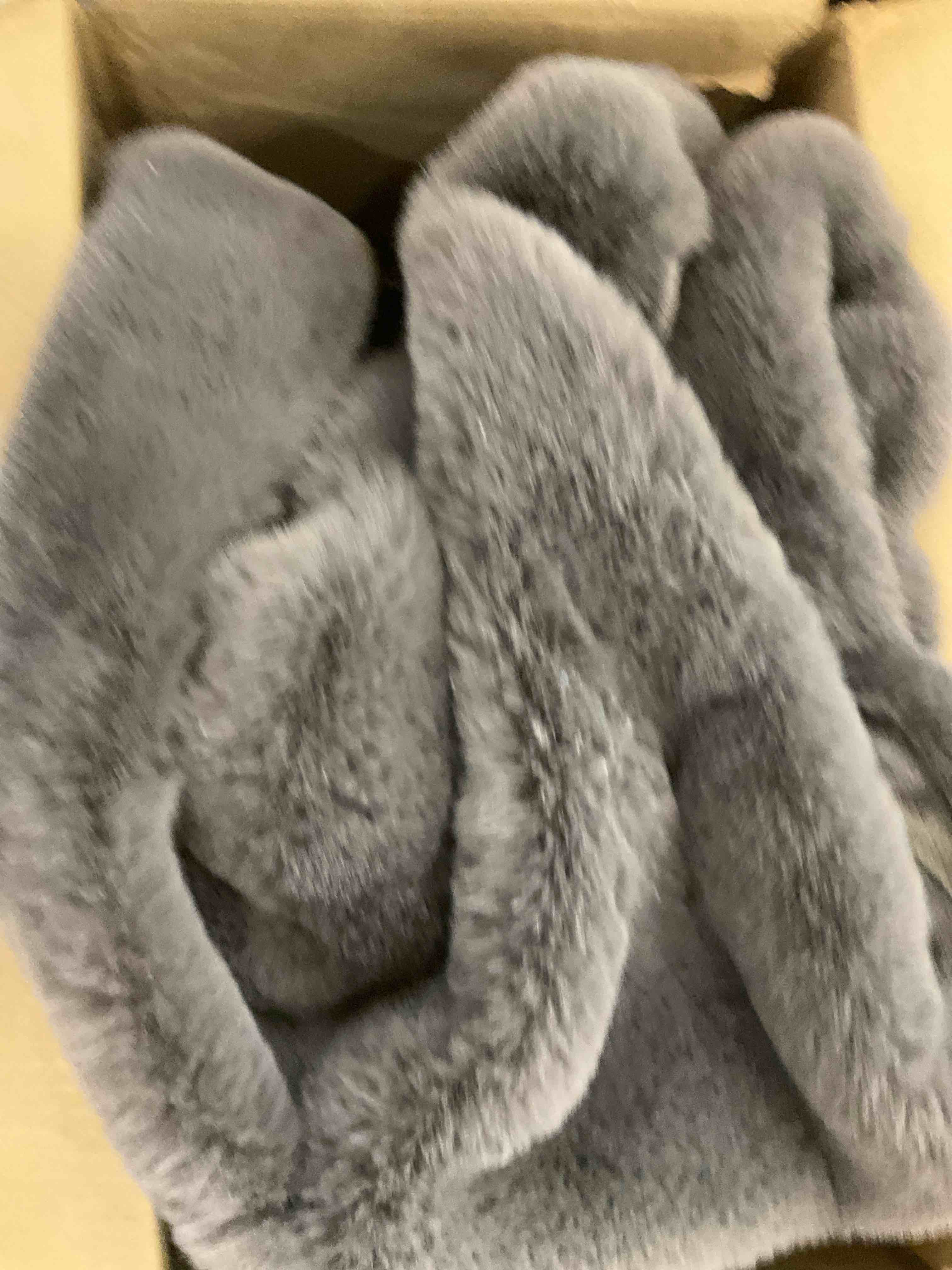 https://s3.amazonaws.com/lotting-images-prod/BargainHunt/EXS01091669_1708020439302.jpeg