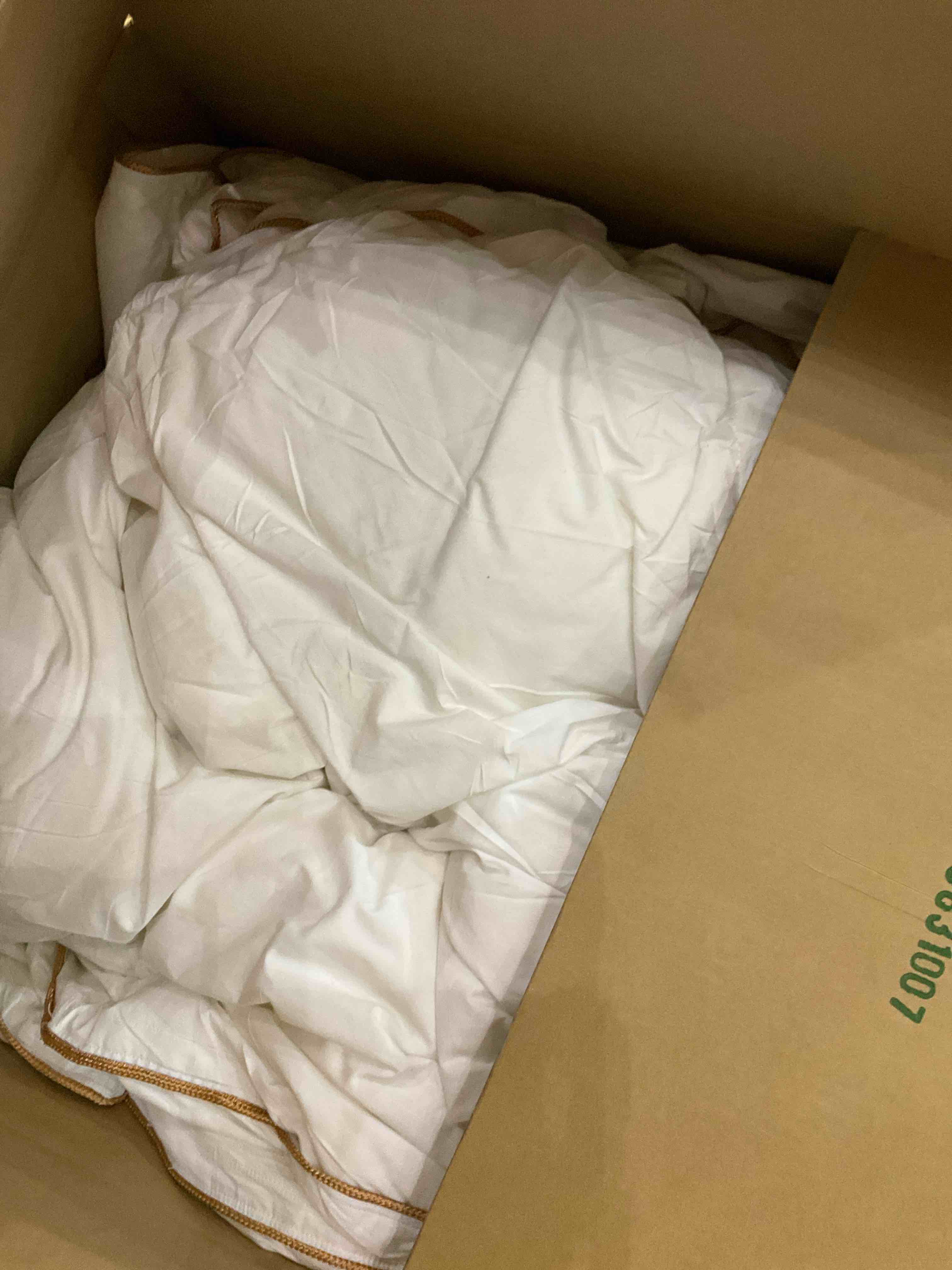 https://s3.amazonaws.com/lotting-images-prod/BargainHunt/EXS01095084_1708530748302.jpeg
