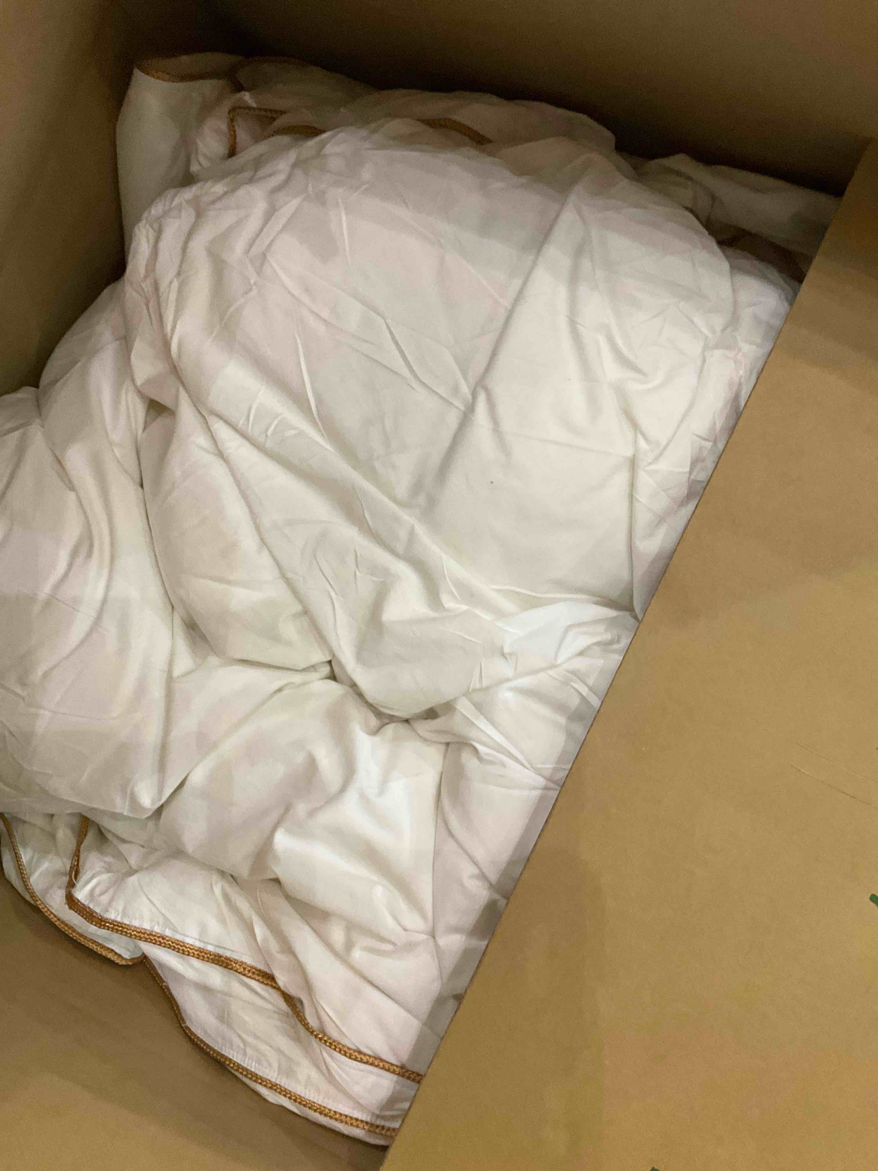 https://s3.amazonaws.com/lotting-images-prod/BargainHunt/EXS01095084_1708530749535.jpeg