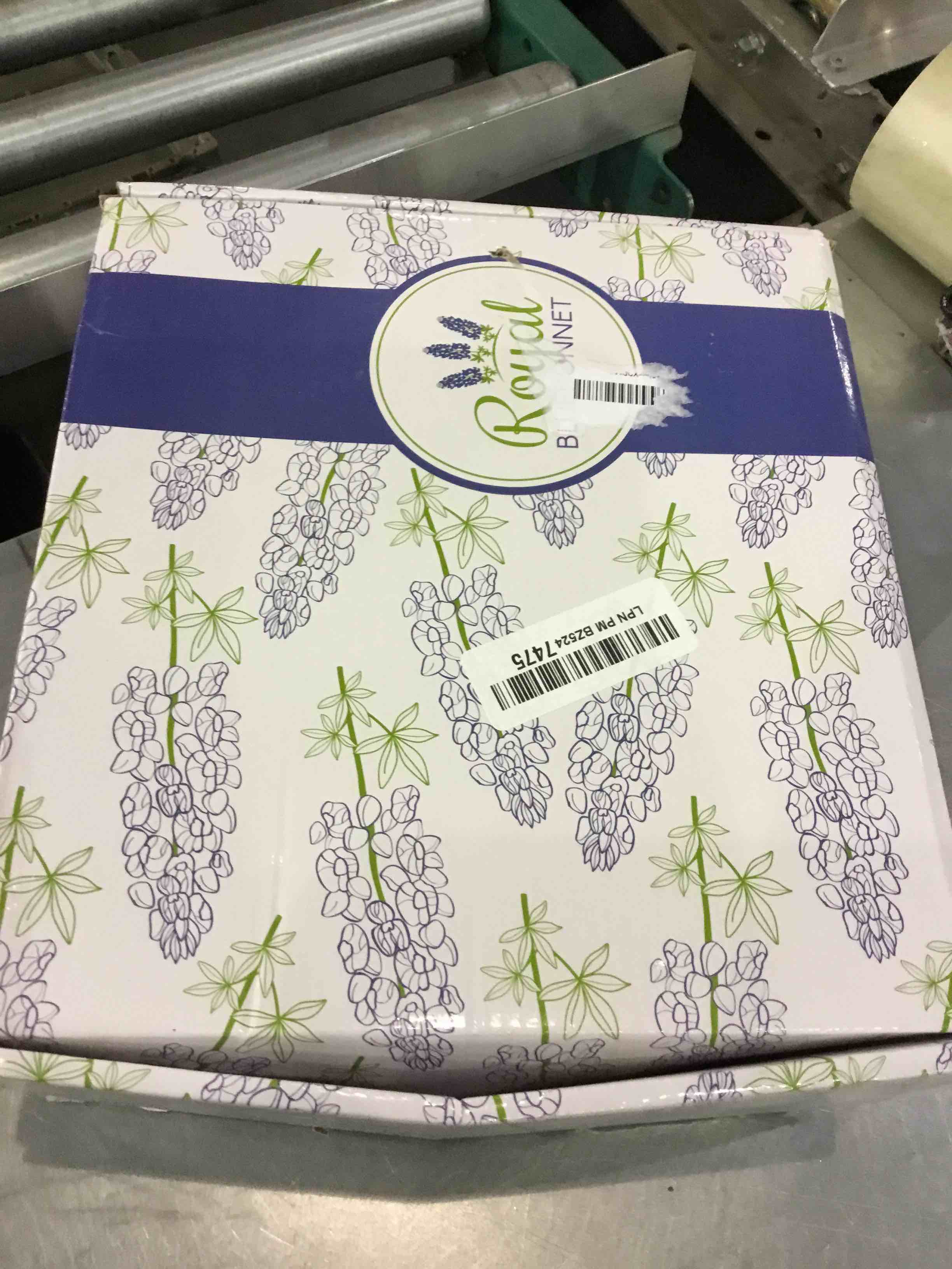https://s3.amazonaws.com/lotting-images-prod/BargainHunt/EXS01103446_1712748815230.jpeg