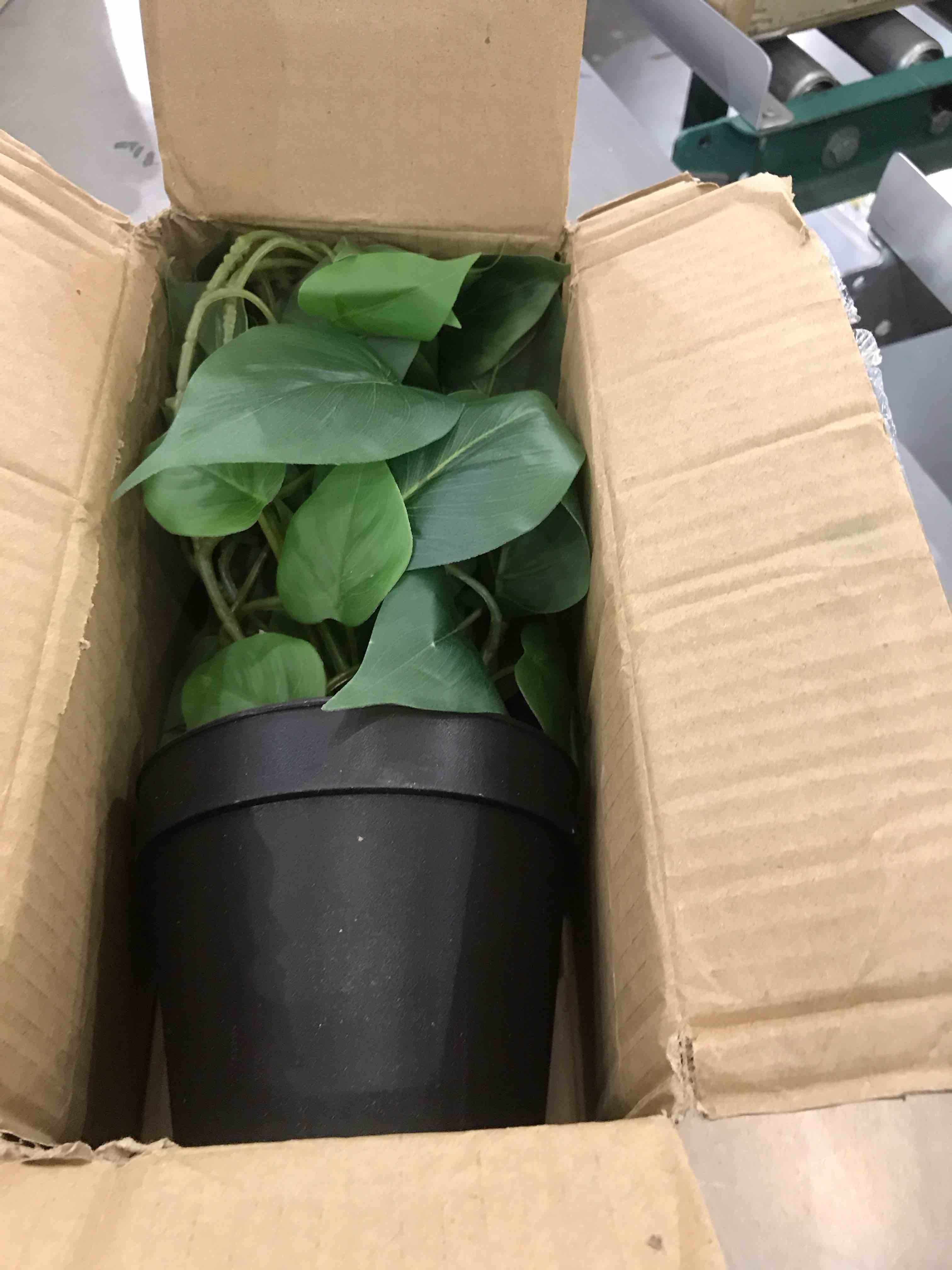 https://s3.amazonaws.com/lotting-images-prod/BargainHunt/EXS01105583_1706800326273.jpeg