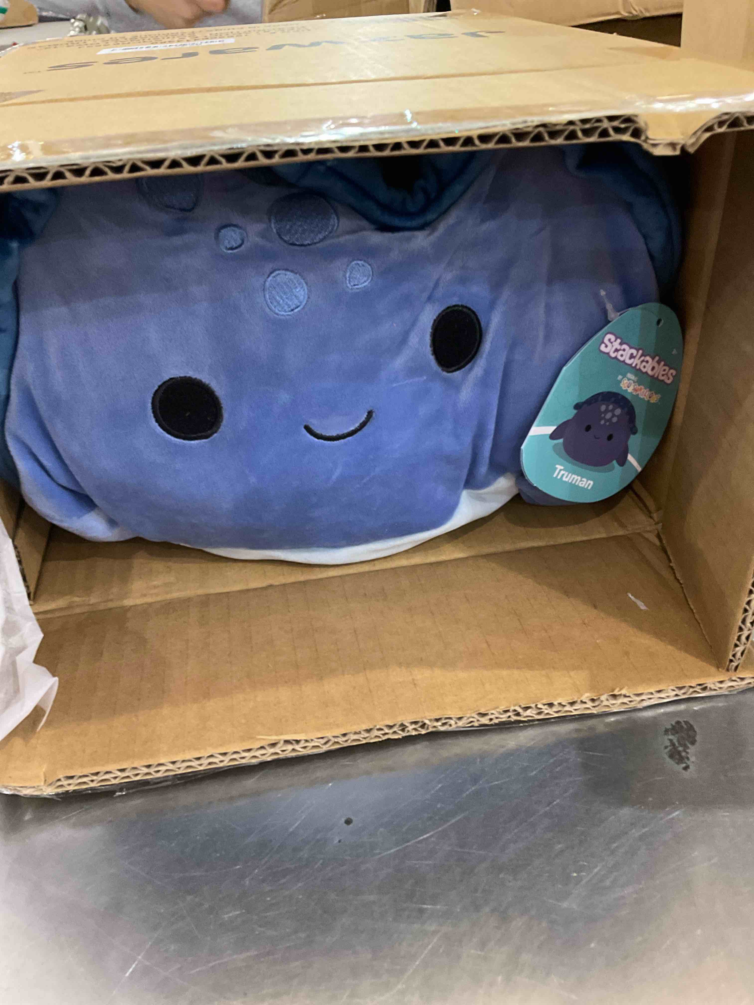 https://s3.amazonaws.com/lotting-images-prod/BargainHunt/EXS01106370_1707243991754.jpeg