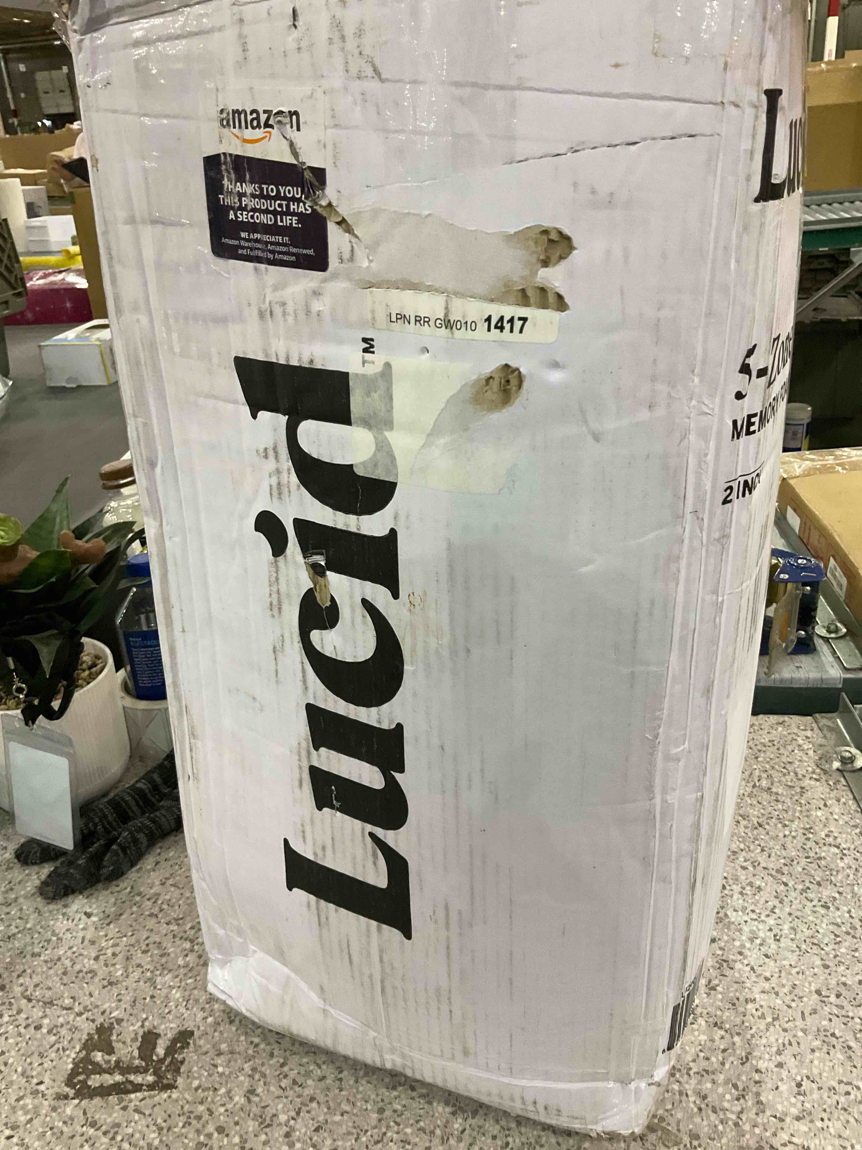 lucid memory foam 