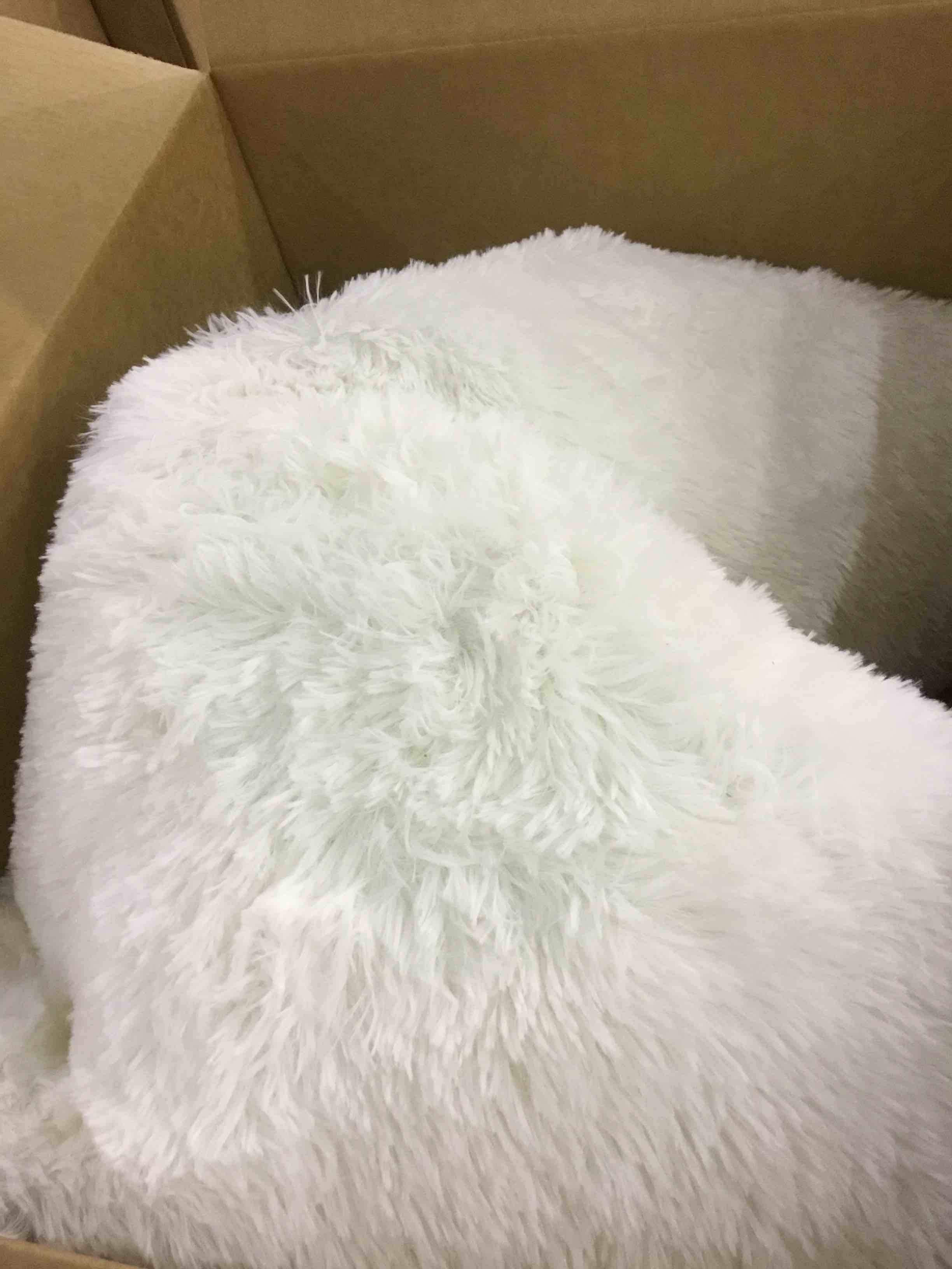 https://s3.amazonaws.com/lotting-images-prod/BargainHunt/EXS01114383_1708435073181.jpeg