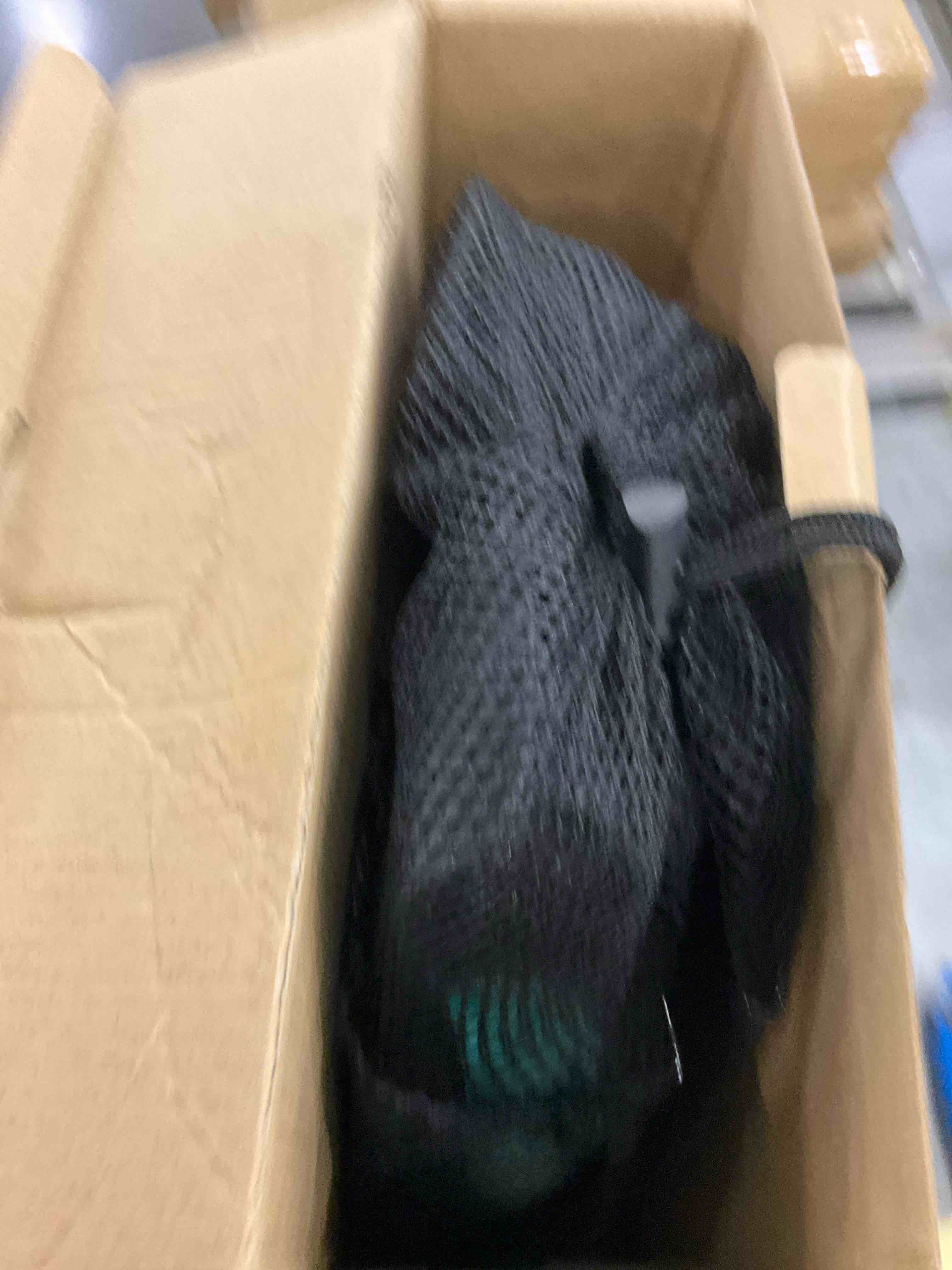 https://s3.amazonaws.com/lotting-images-prod/BargainHunt/EXS01129232_1706726334548.jpeg