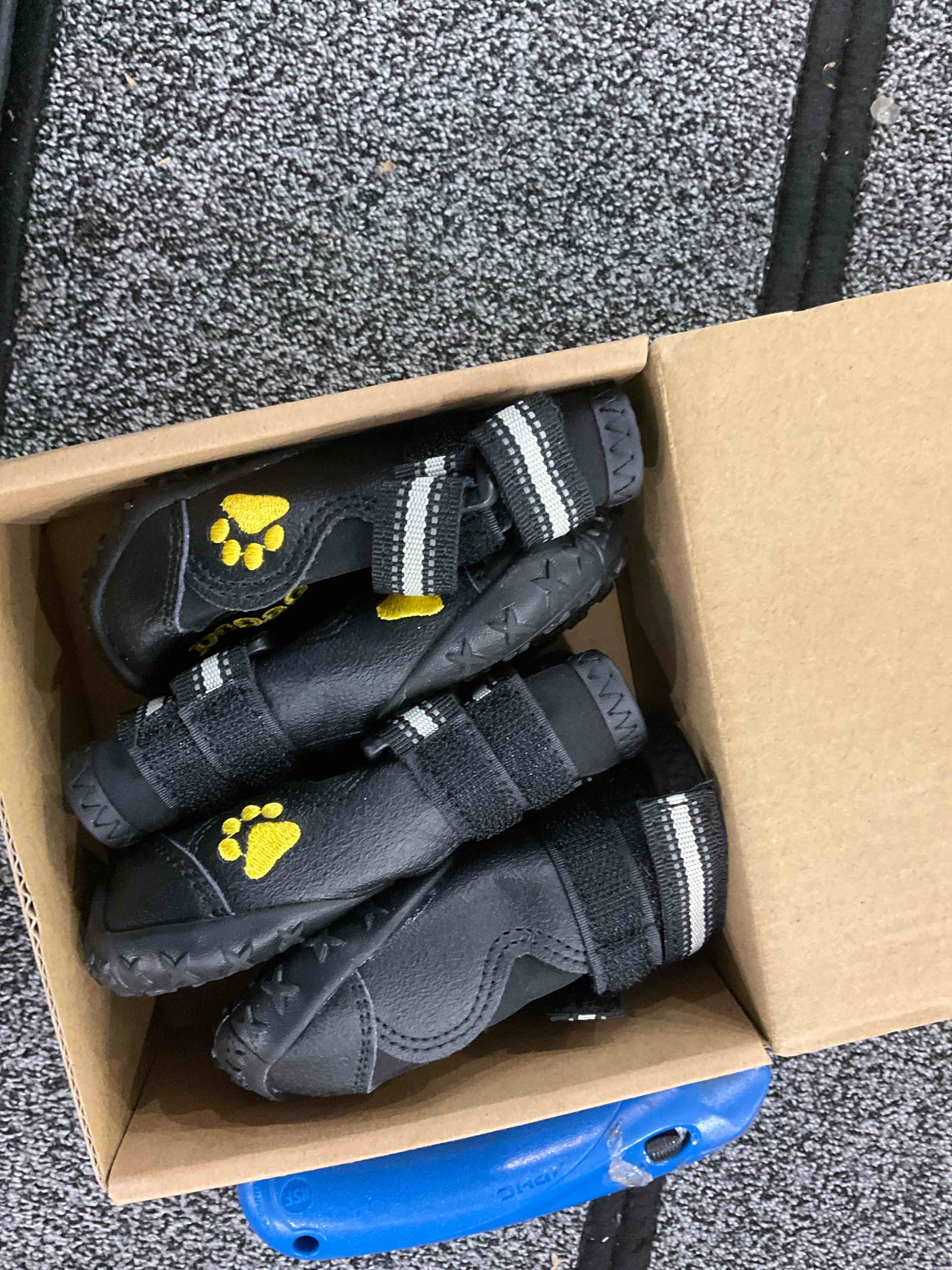 https://s3.amazonaws.com/lotting-images-prod/BargainHunt/EXS01141100_1707756721647.jpeg