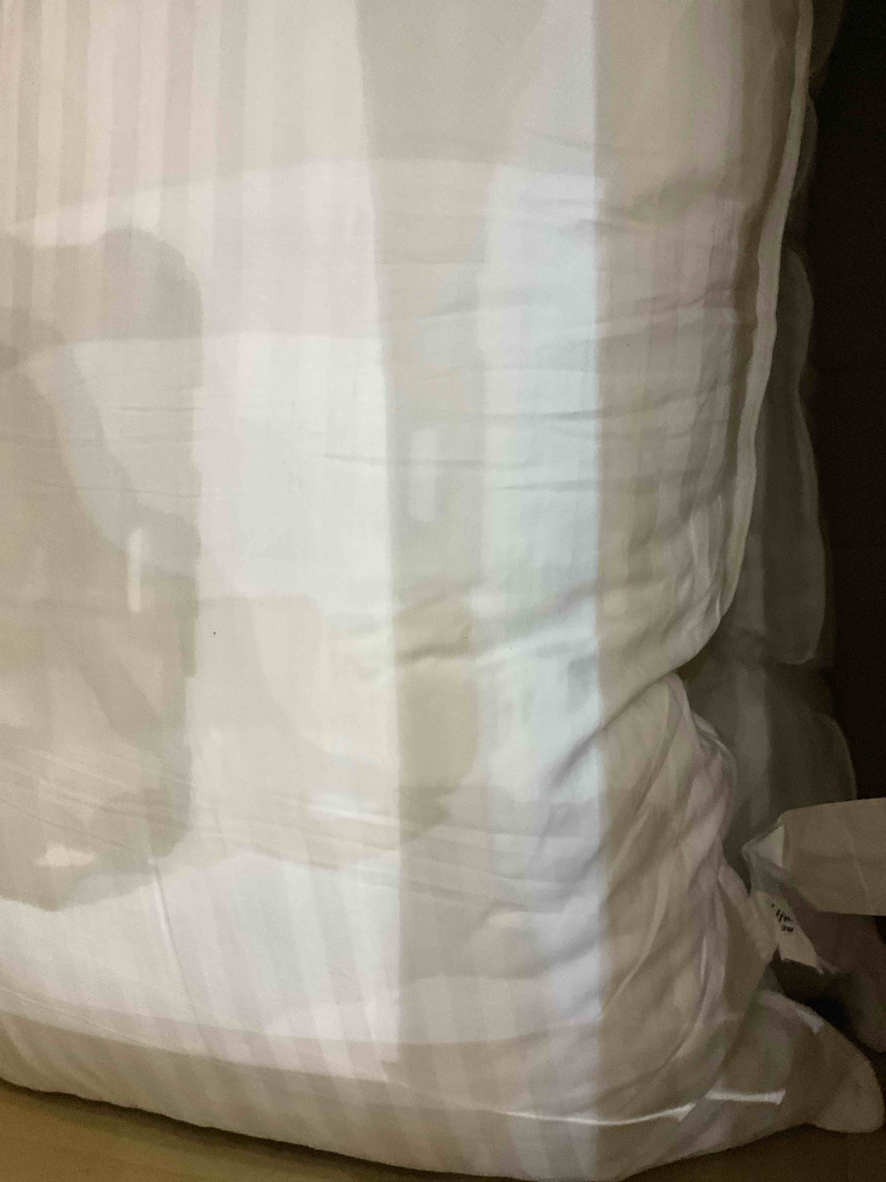 https://s3.amazonaws.com/lotting-images-prod/BargainHunt/EXS01144906_1709063099966.jpeg