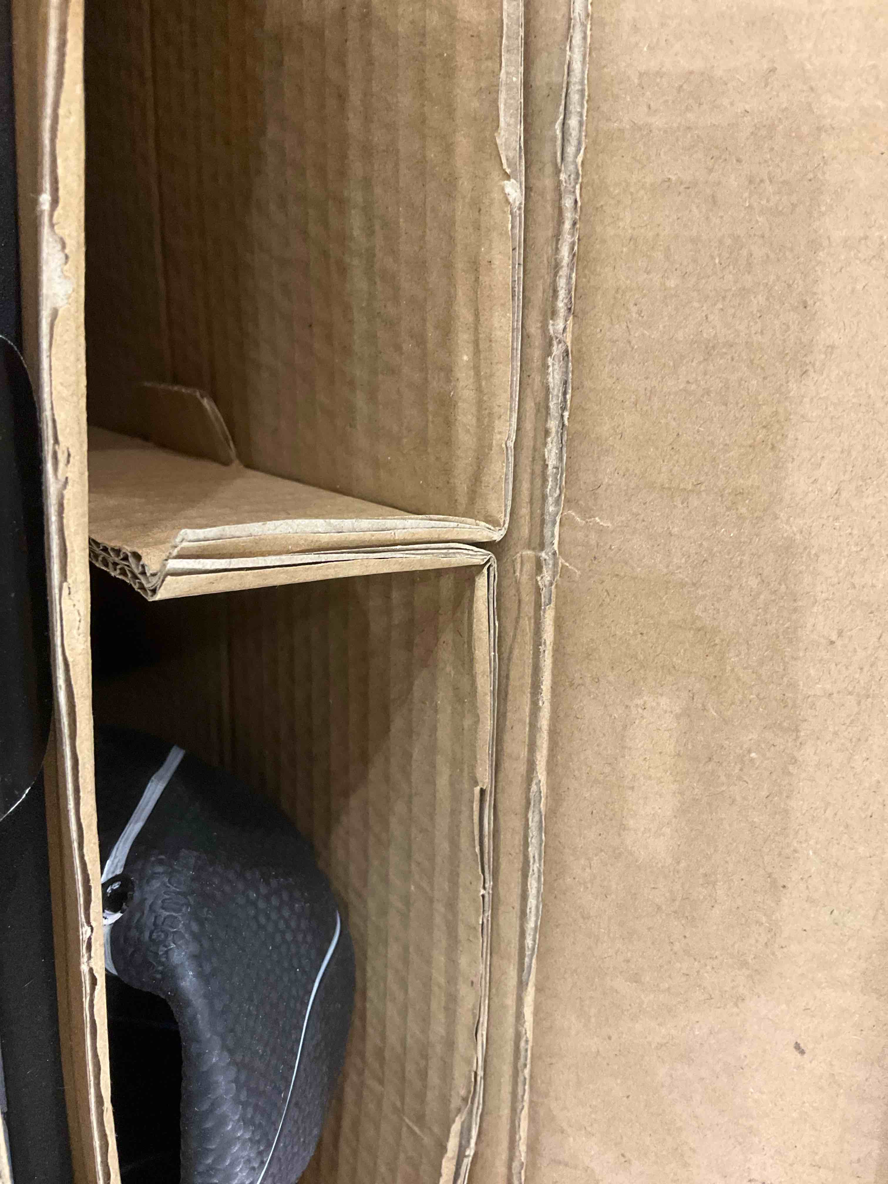 https://s3.amazonaws.com/lotting-images-prod/BargainHunt/EXS01148541_1708012987919.jpeg