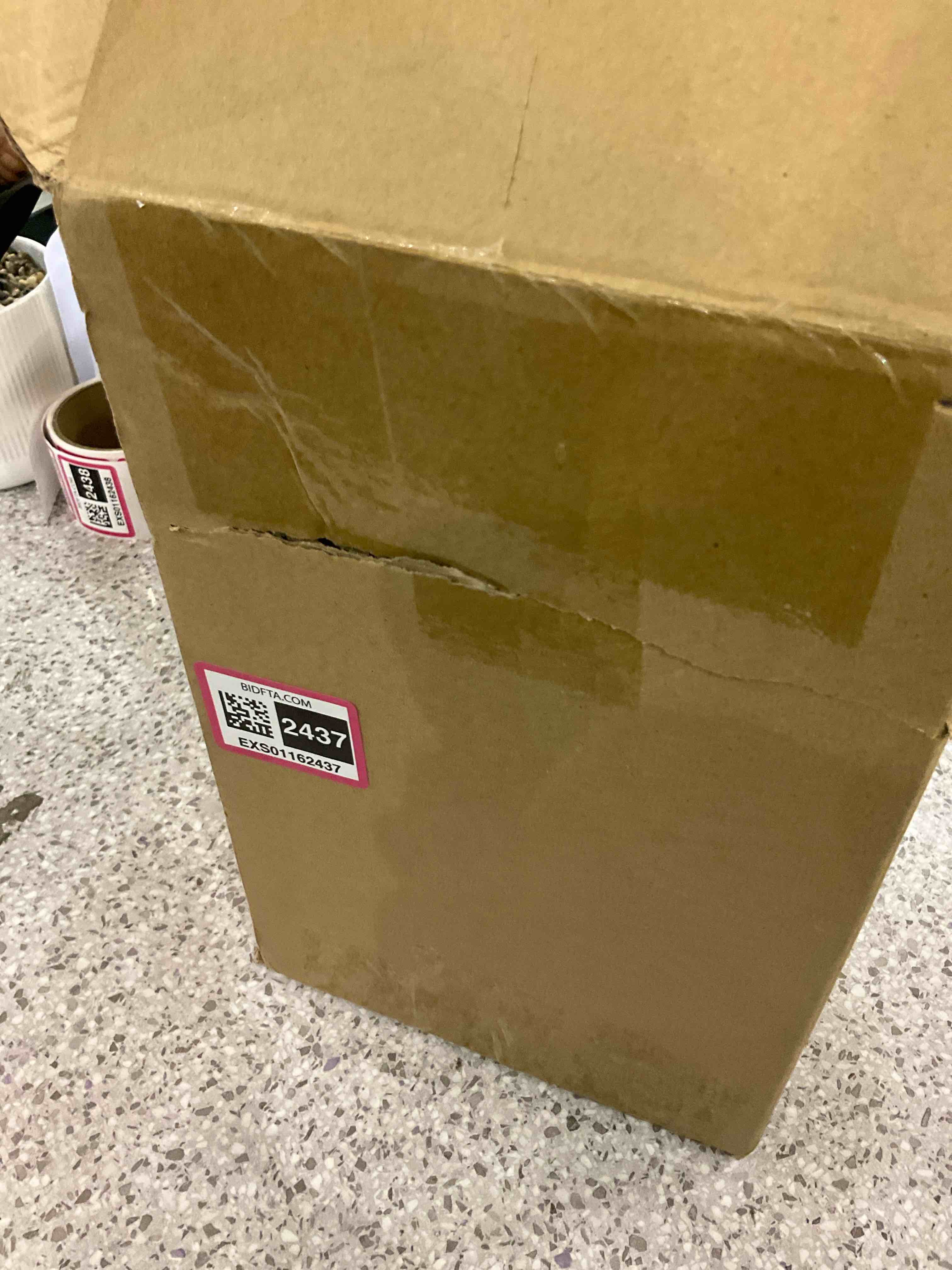 https://s3.amazonaws.com/lotting-images-prod/BargainHunt/EXS01162437_1707760574567.jpeg