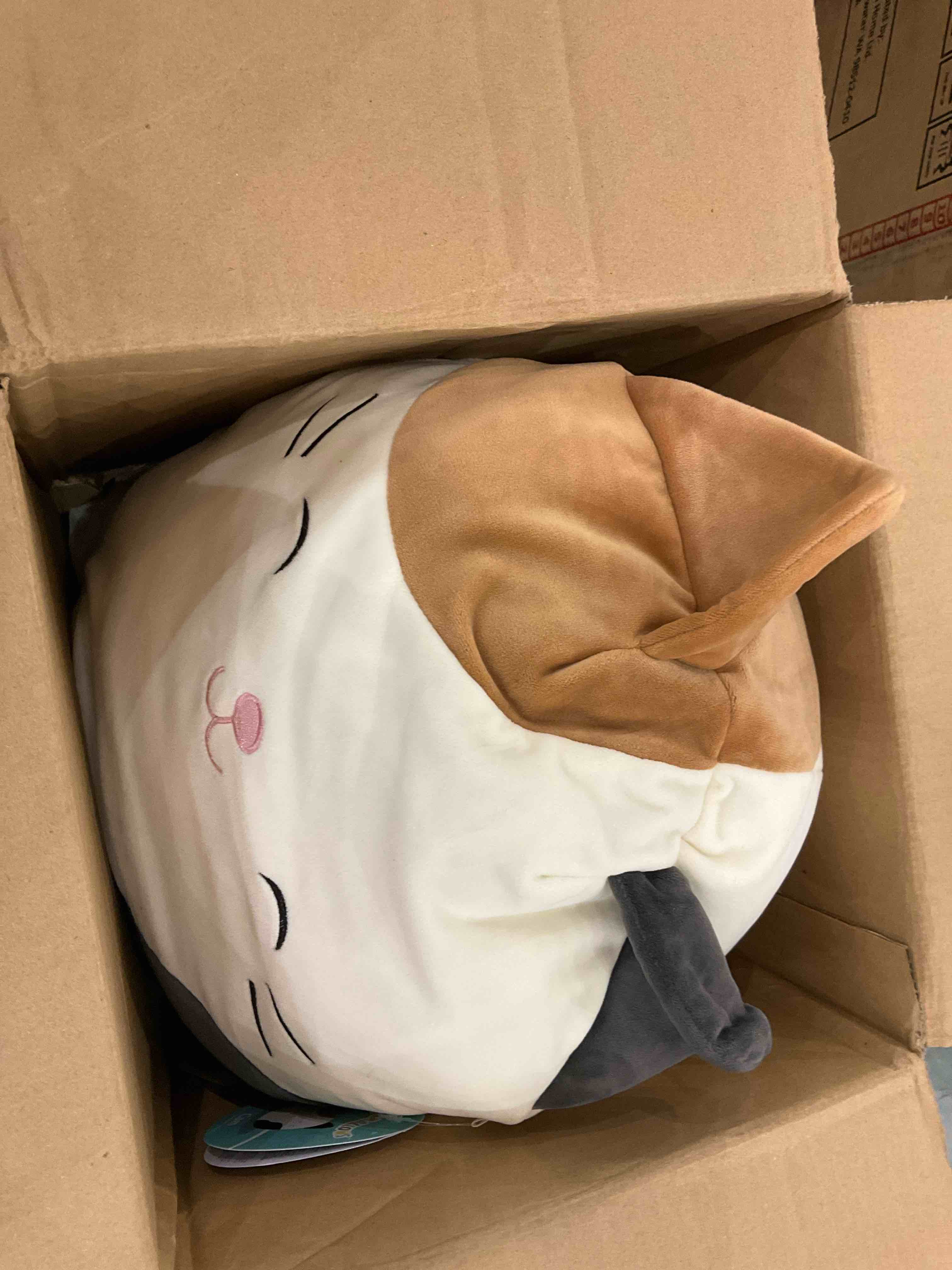 https://s3.amazonaws.com/lotting-images-prod/BargainHunt/EXS01170583_1709833659145.jpeg