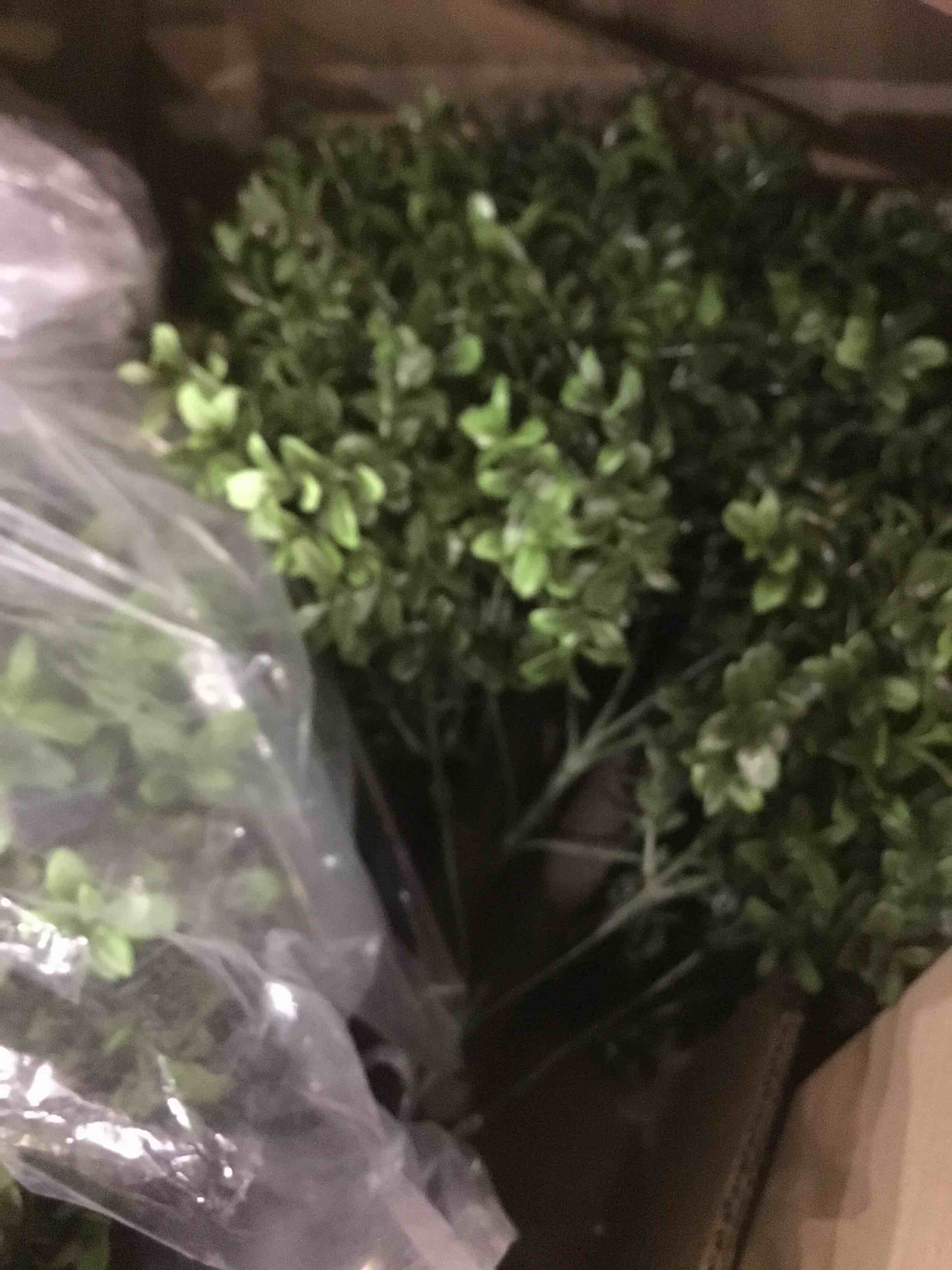 https://s3.amazonaws.com/lotting-images-prod/BargainHunt/EXS01173086_1707503363021.jpeg