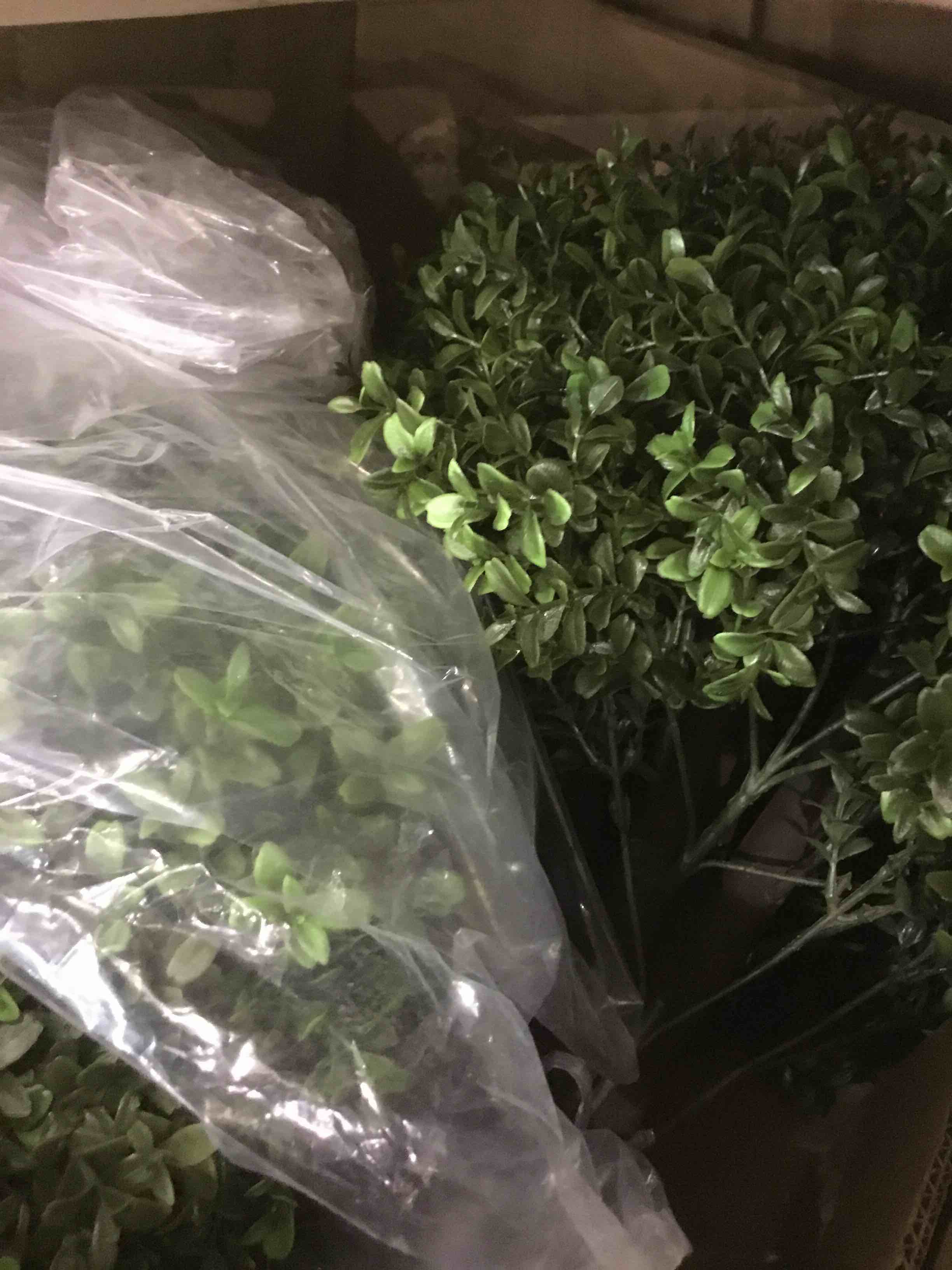 https://s3.amazonaws.com/lotting-images-prod/BargainHunt/EXS01173086_1707503365427.jpeg