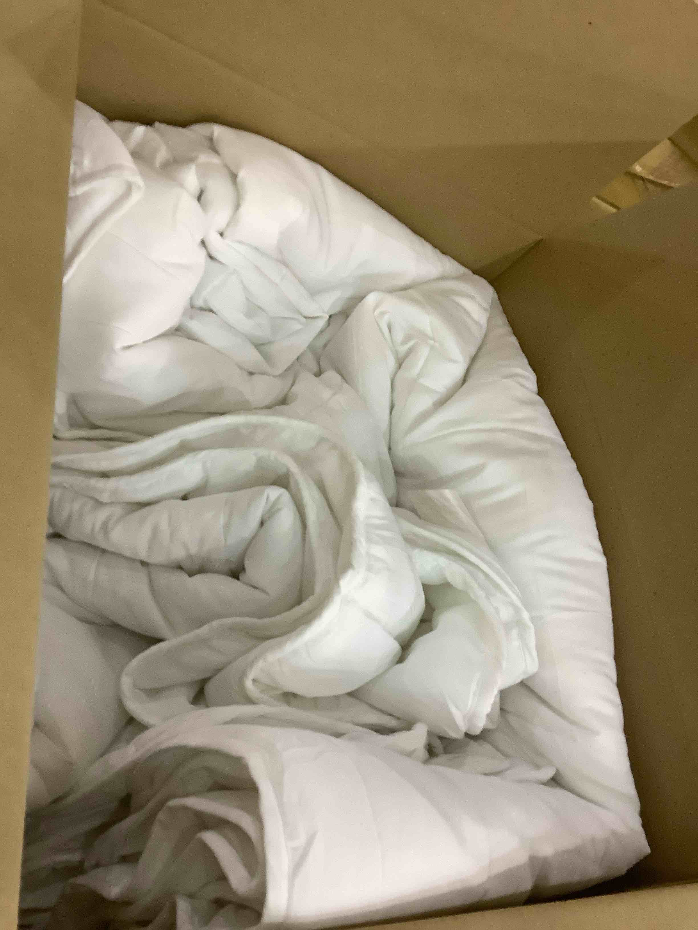 https://s3.amazonaws.com/lotting-images-prod/BargainHunt/EXS01174750_1708090345208.jpeg