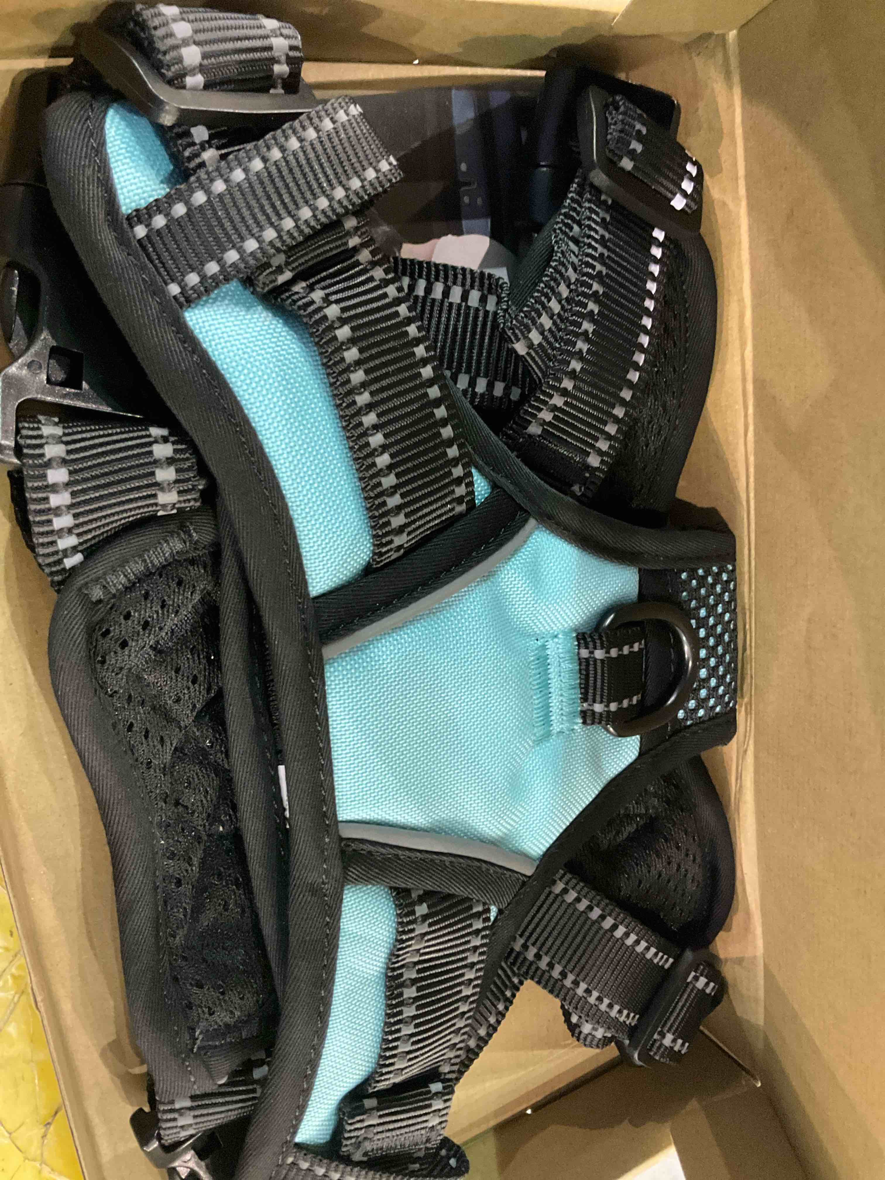 https://s3.amazonaws.com/lotting-images-prod/BargainHunt/EXS01183256_1711626293398.jpeg