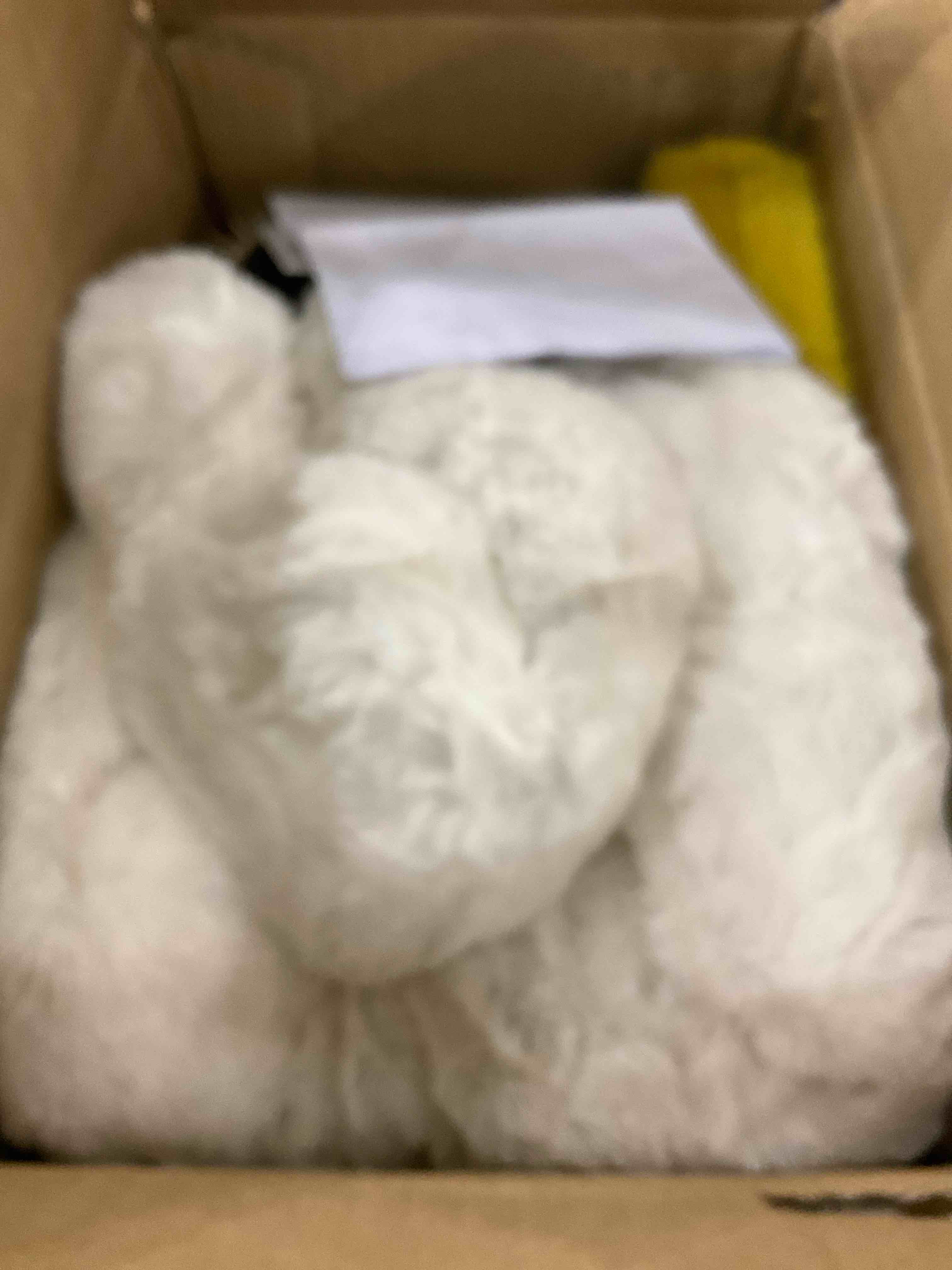 https://s3.amazonaws.com/lotting-images-prod/BargainHunt/EXS01184911_1709645133274.jpeg