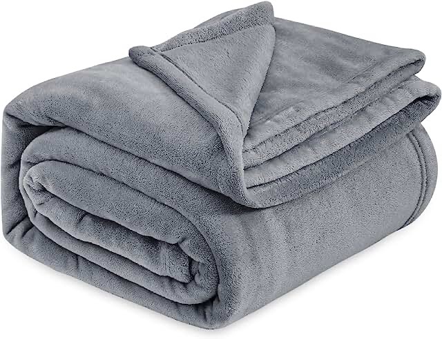 Bedsure Fleece Bed Blankets Queen Size Grey - Soft Lightweight Plush Fuzzy Cozy Luxury Blanket Microfiber