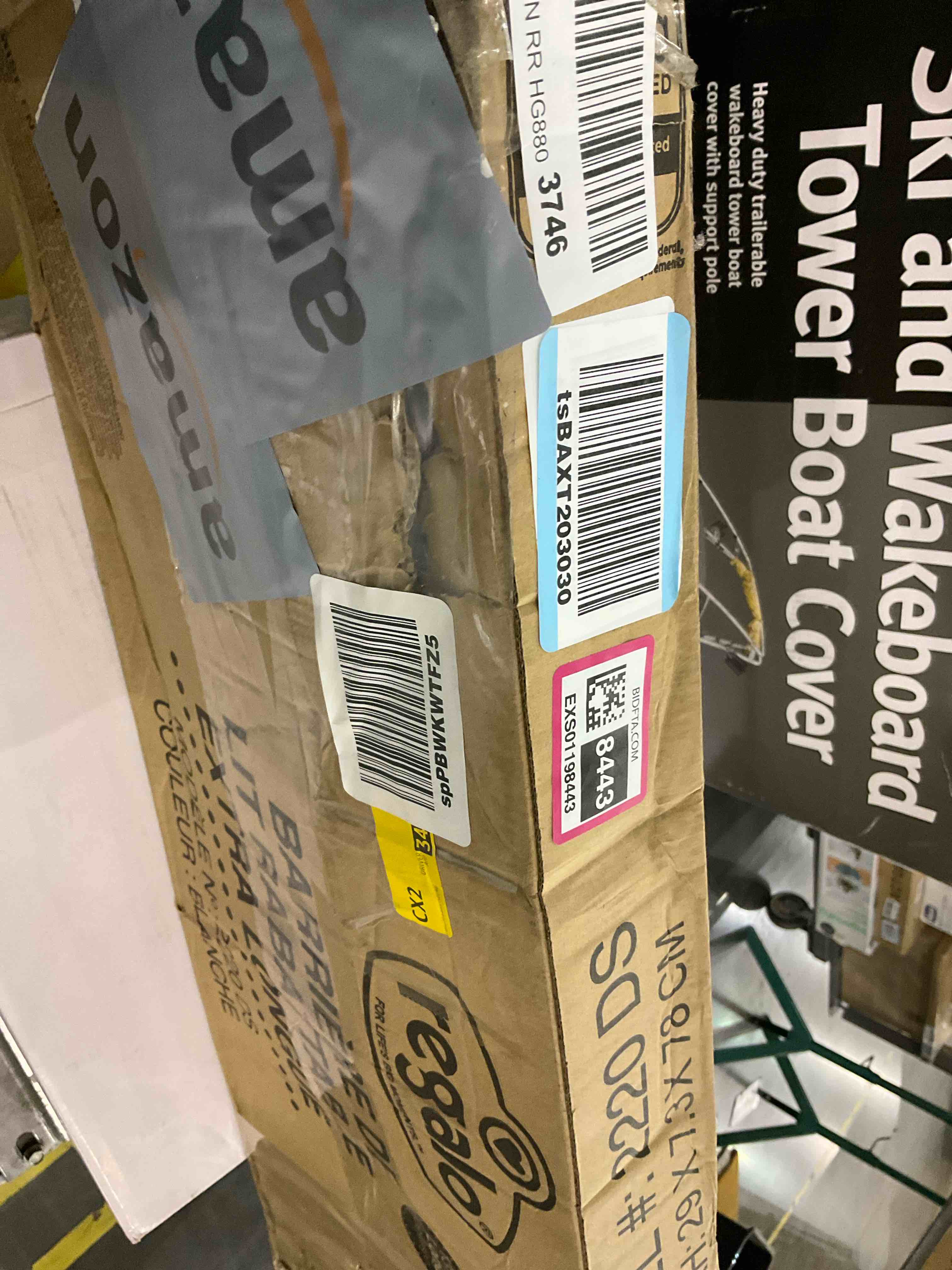 https://s3.amazonaws.com/lotting-images-prod/BargainHunt/EXS01198443_1709580410772.jpeg
