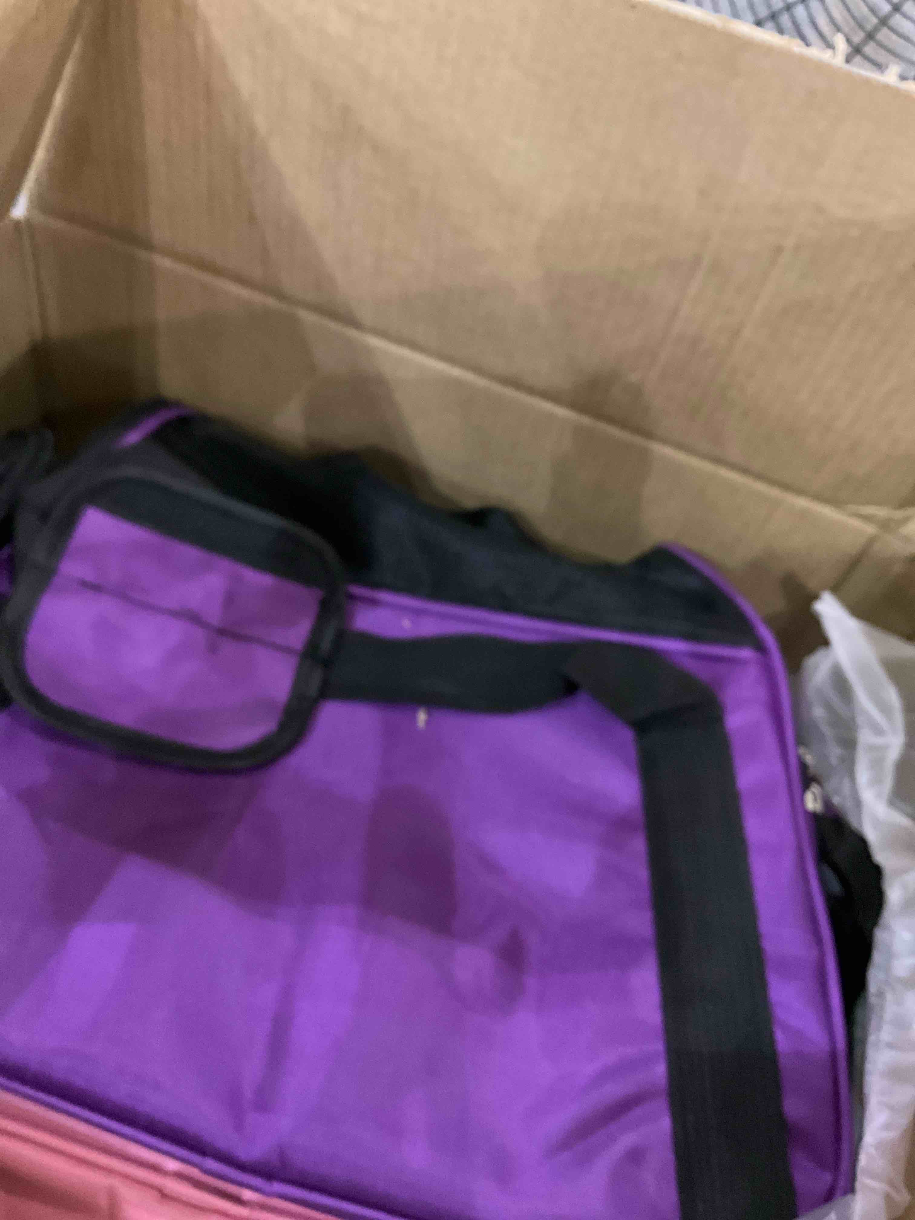 https://s3.amazonaws.com/lotting-images-prod/BargainHunt/EXS01201499_1713356847448.jpeg