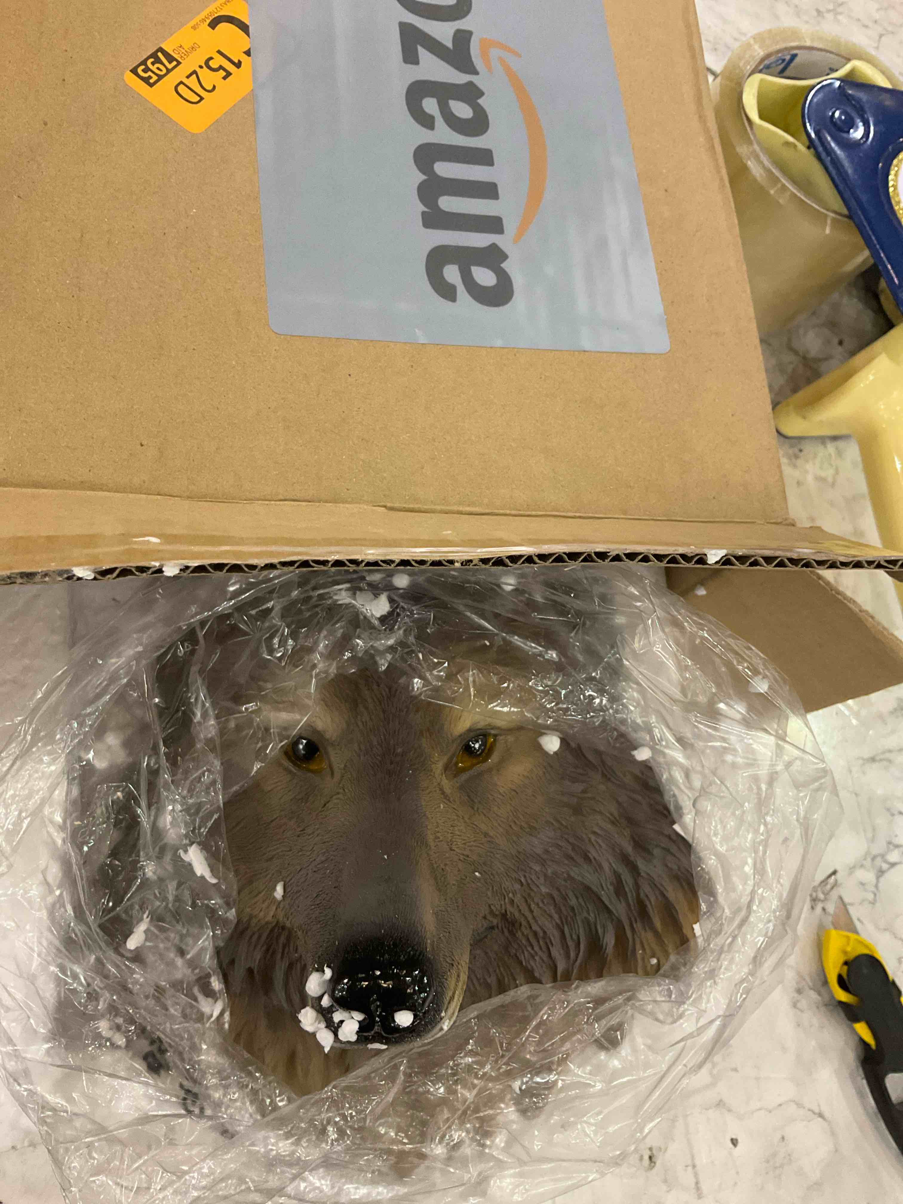 https://s3.amazonaws.com/lotting-images-prod/BargainHunt/EXS01202220_1712763671541.jpeg