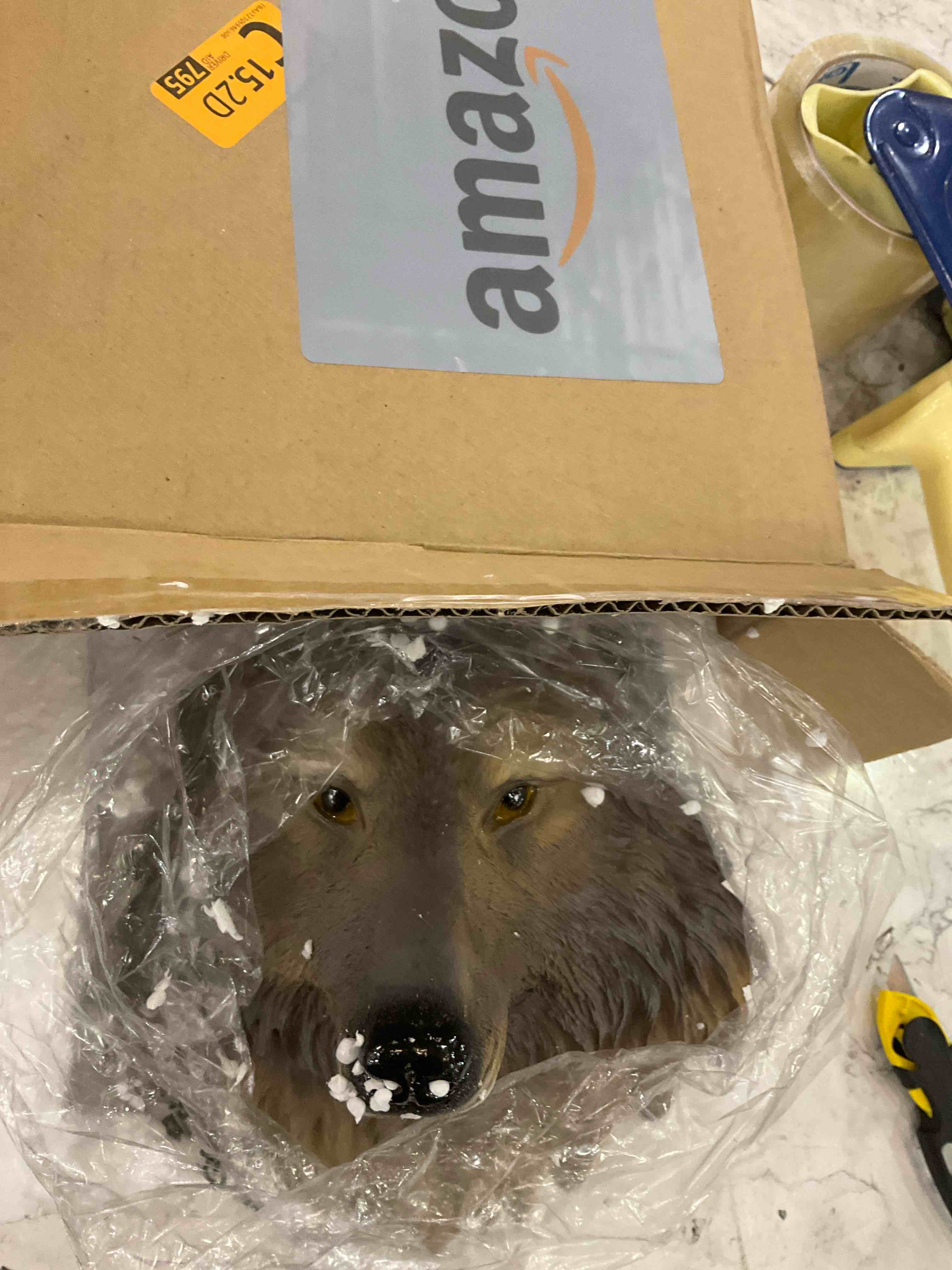 https://s3.amazonaws.com/lotting-images-prod/BargainHunt/EXS01202220_1712763672561.jpeg
