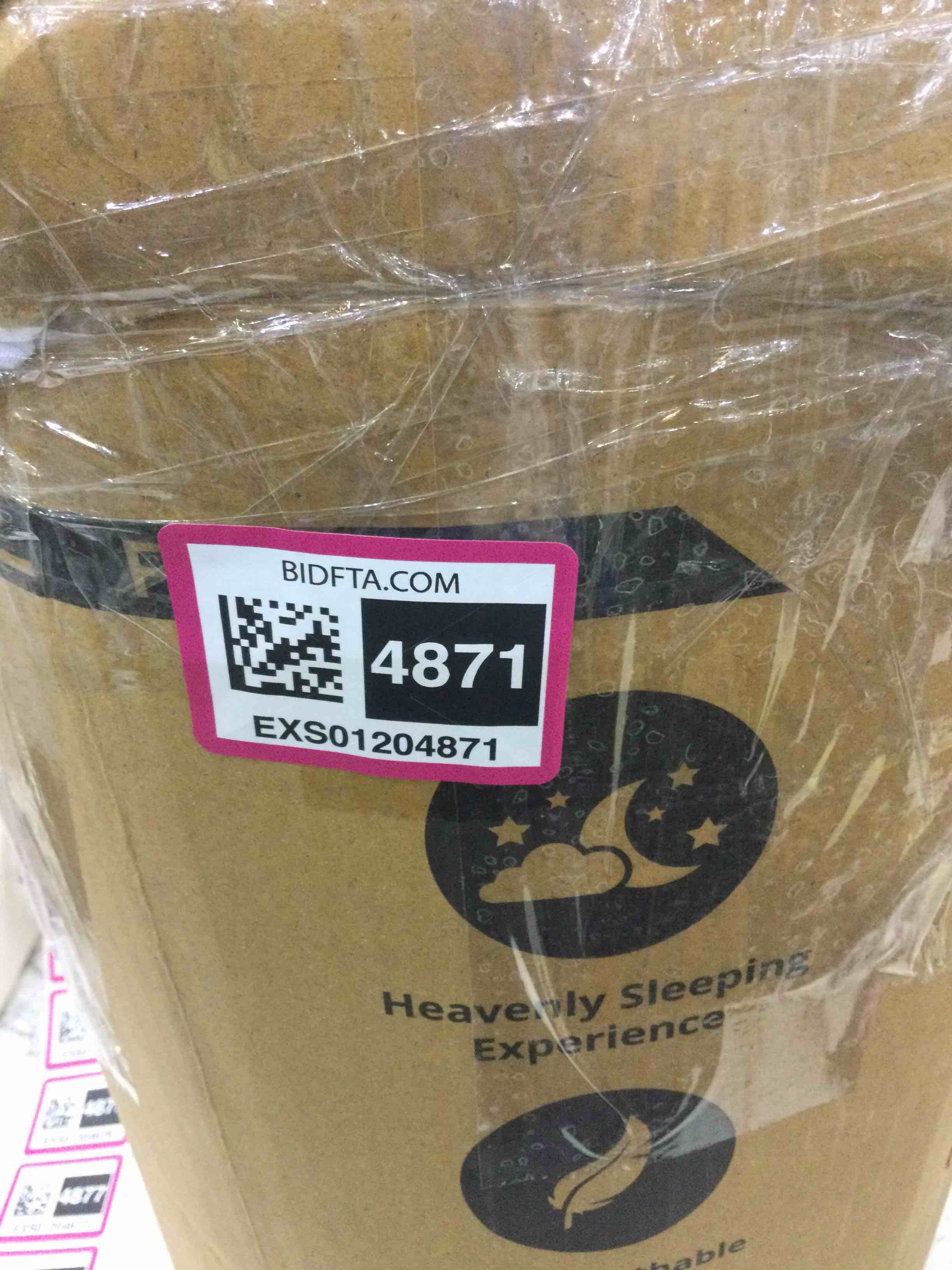 https://s3.amazonaws.com/lotting-images-prod/BargainHunt/EXS01204871_1713372113687.jpeg
