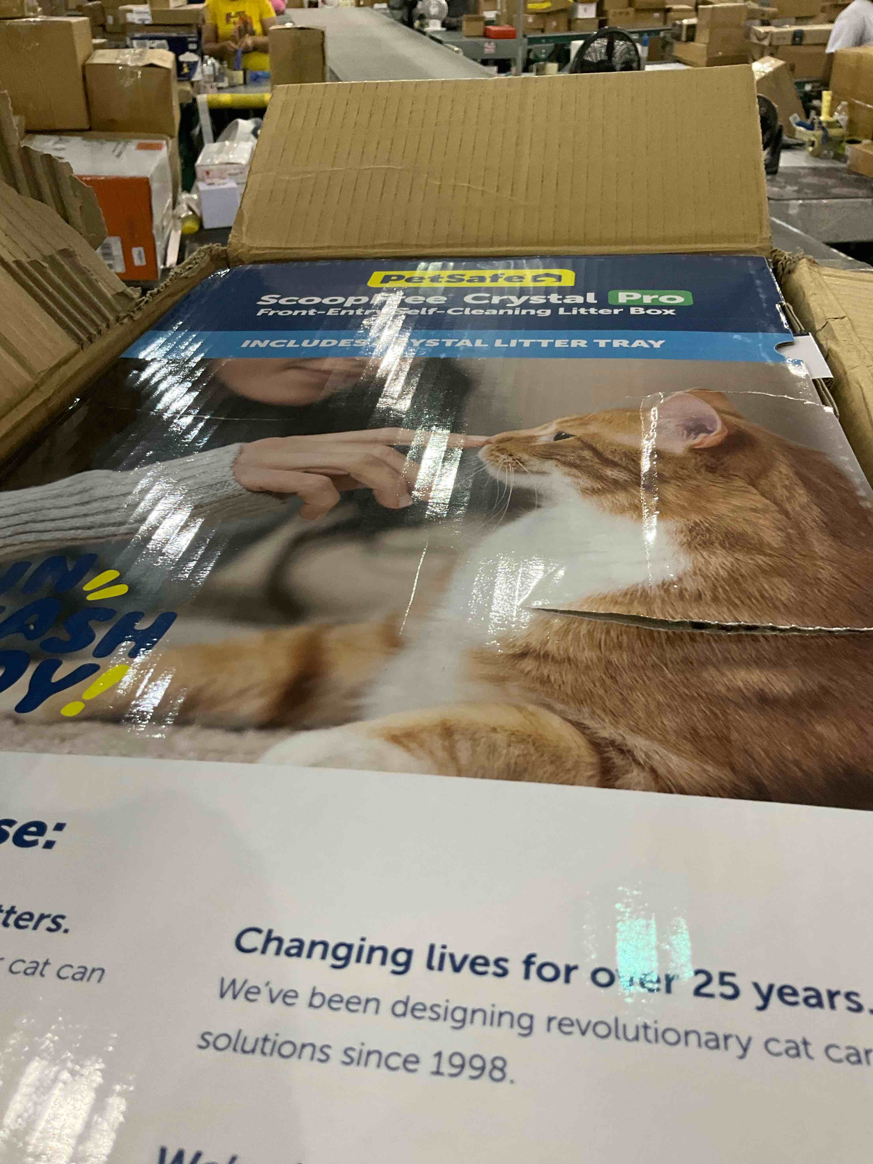 https://s3.amazonaws.com/lotting-images-prod/BargainHunt/EXS01208048_1715166754480.jpeg
