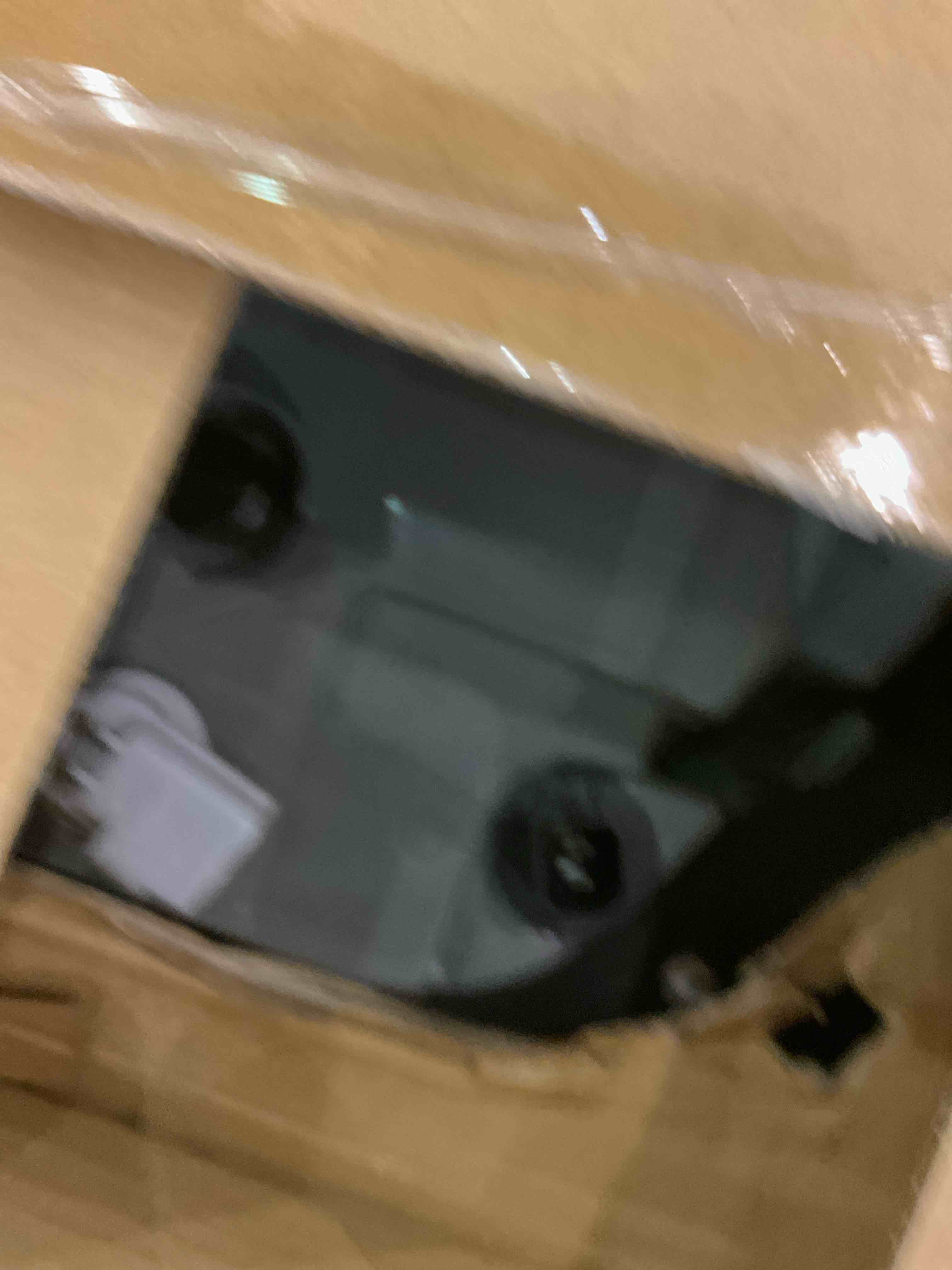https://s3.amazonaws.com/lotting-images-prod/BargainHunt/EXS01215637_1710419560070.jpeg