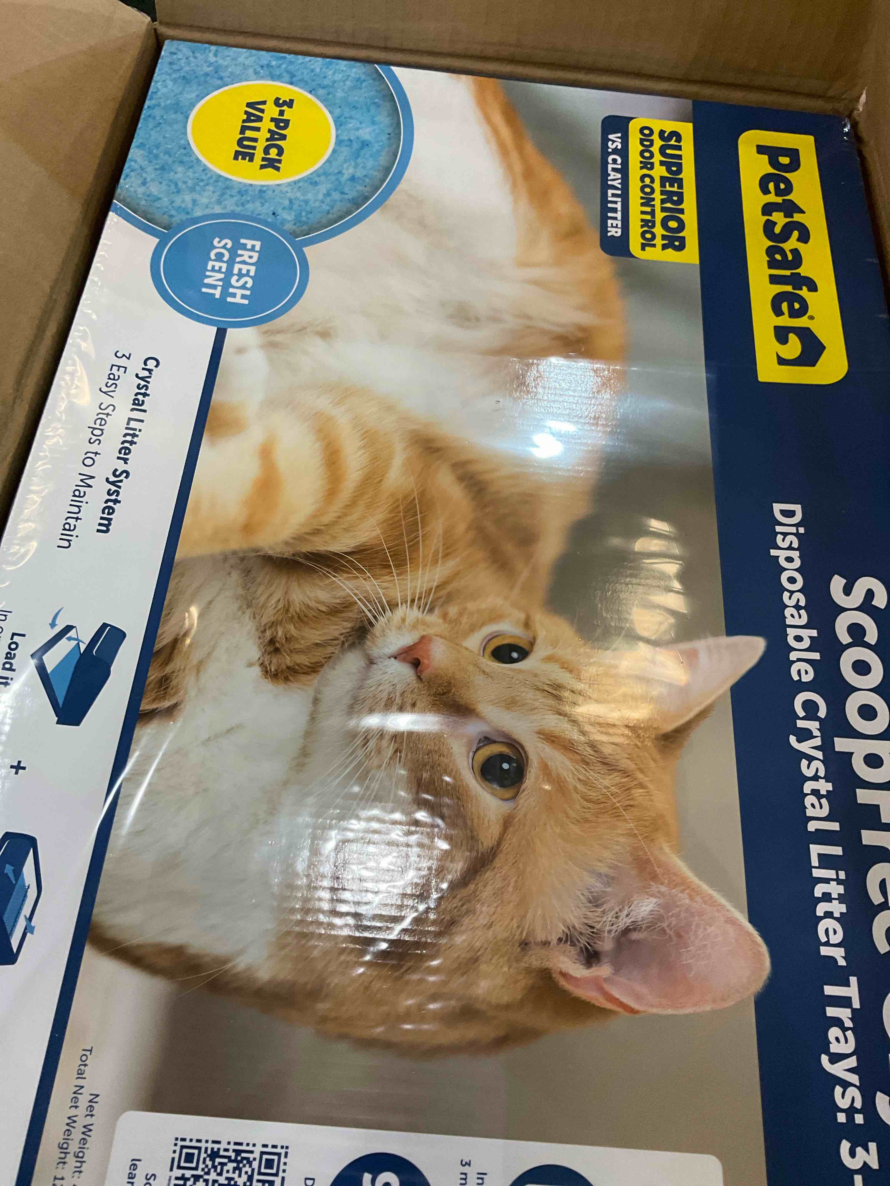 https://s3.amazonaws.com/lotting-images-prod/BargainHunt/EXS01222844_1712240089685.jpeg