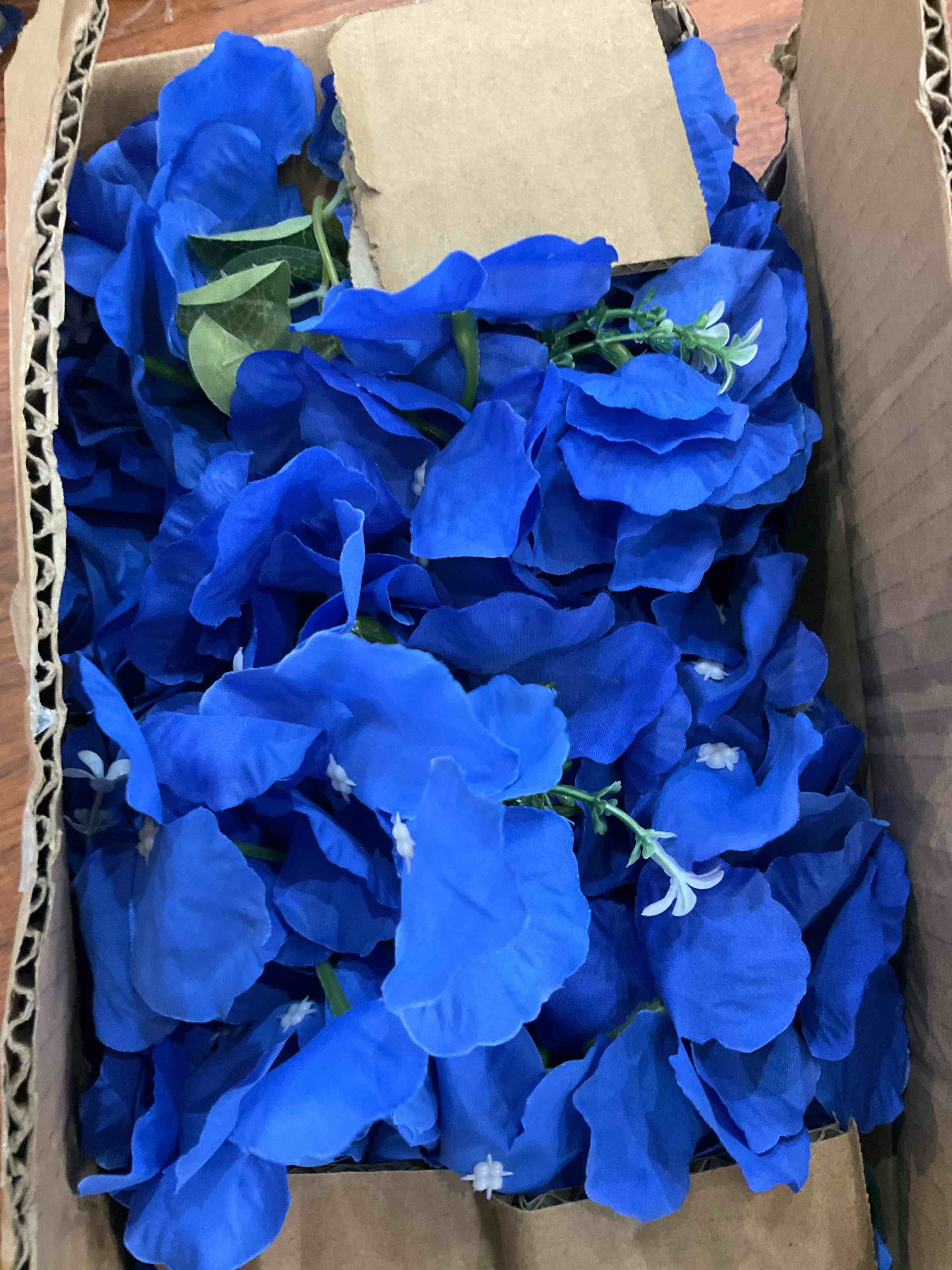 https://s3.amazonaws.com/lotting-images-prod/BargainHunt/EXS01222985_1712338573412.jpeg