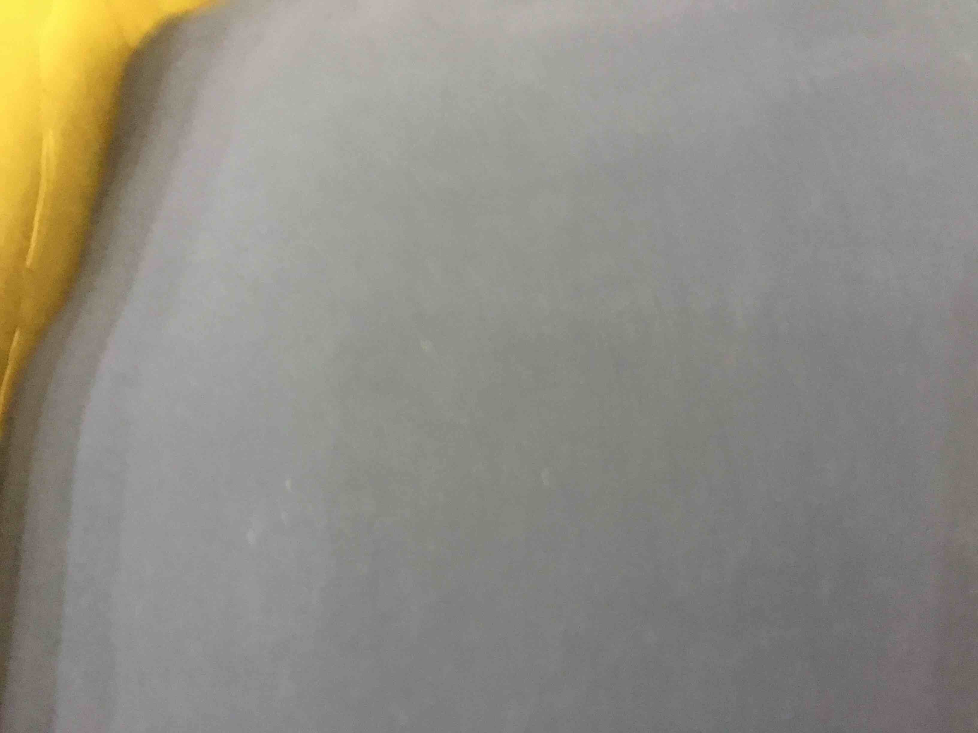 https://s3.amazonaws.com/lotting-images-prod/BargainHunt/EXS01226337_1710441788121.jpeg