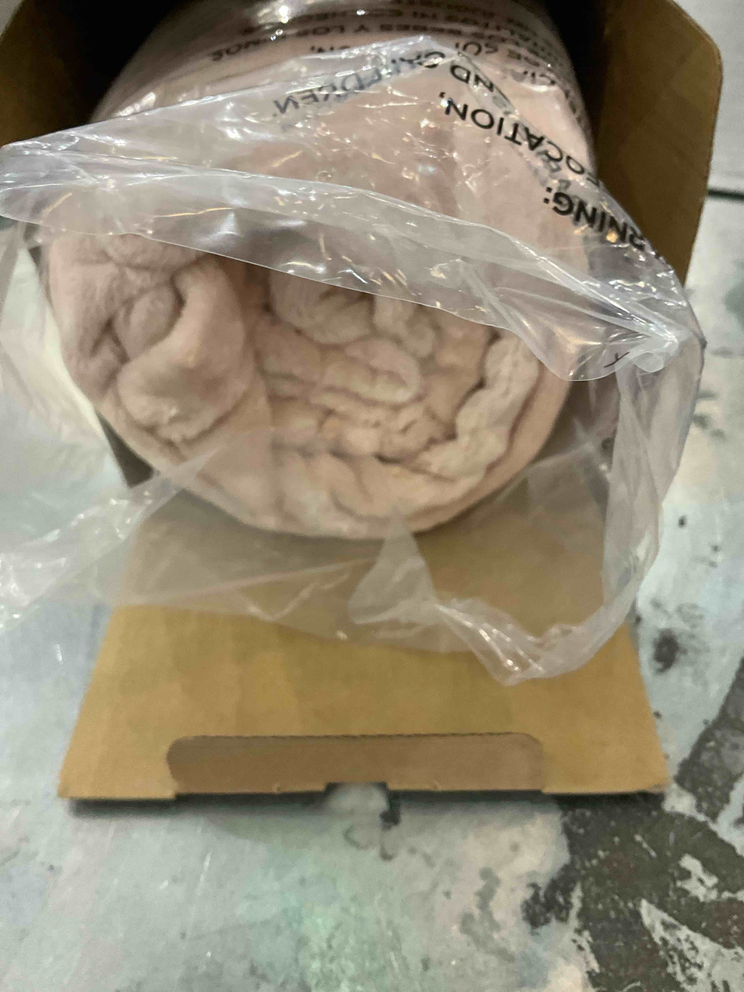 https://s3.amazonaws.com/lotting-images-prod/BargainHunt/EXS01236948_1715792030826.jpeg