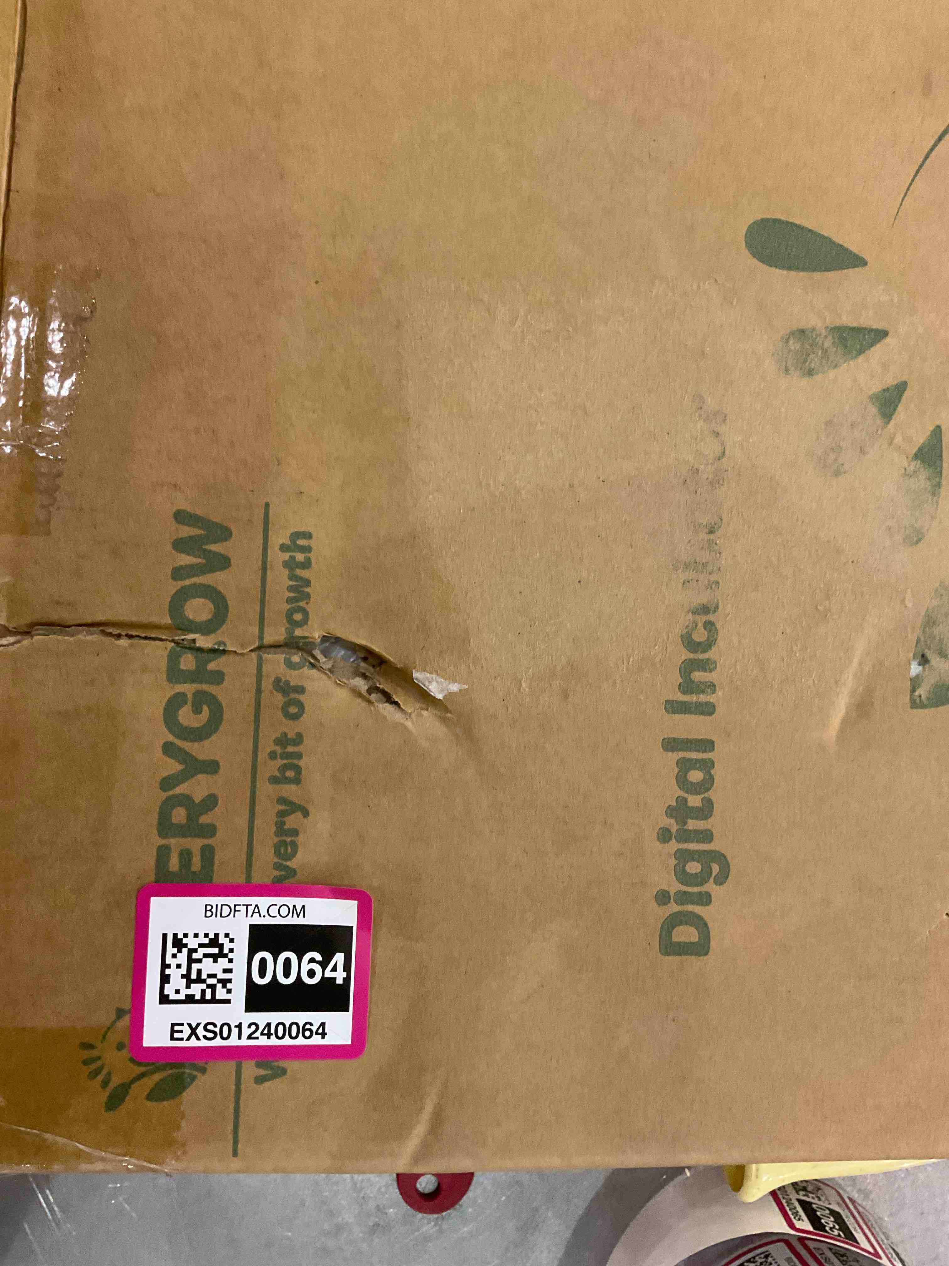 https://s3.amazonaws.com/lotting-images-prod/BargainHunt/EXS01240064_1709656024928.jpeg