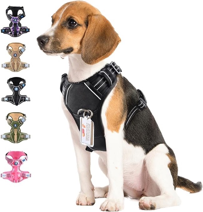 Dog Harness with ID Card Puppy to Large Dogs 