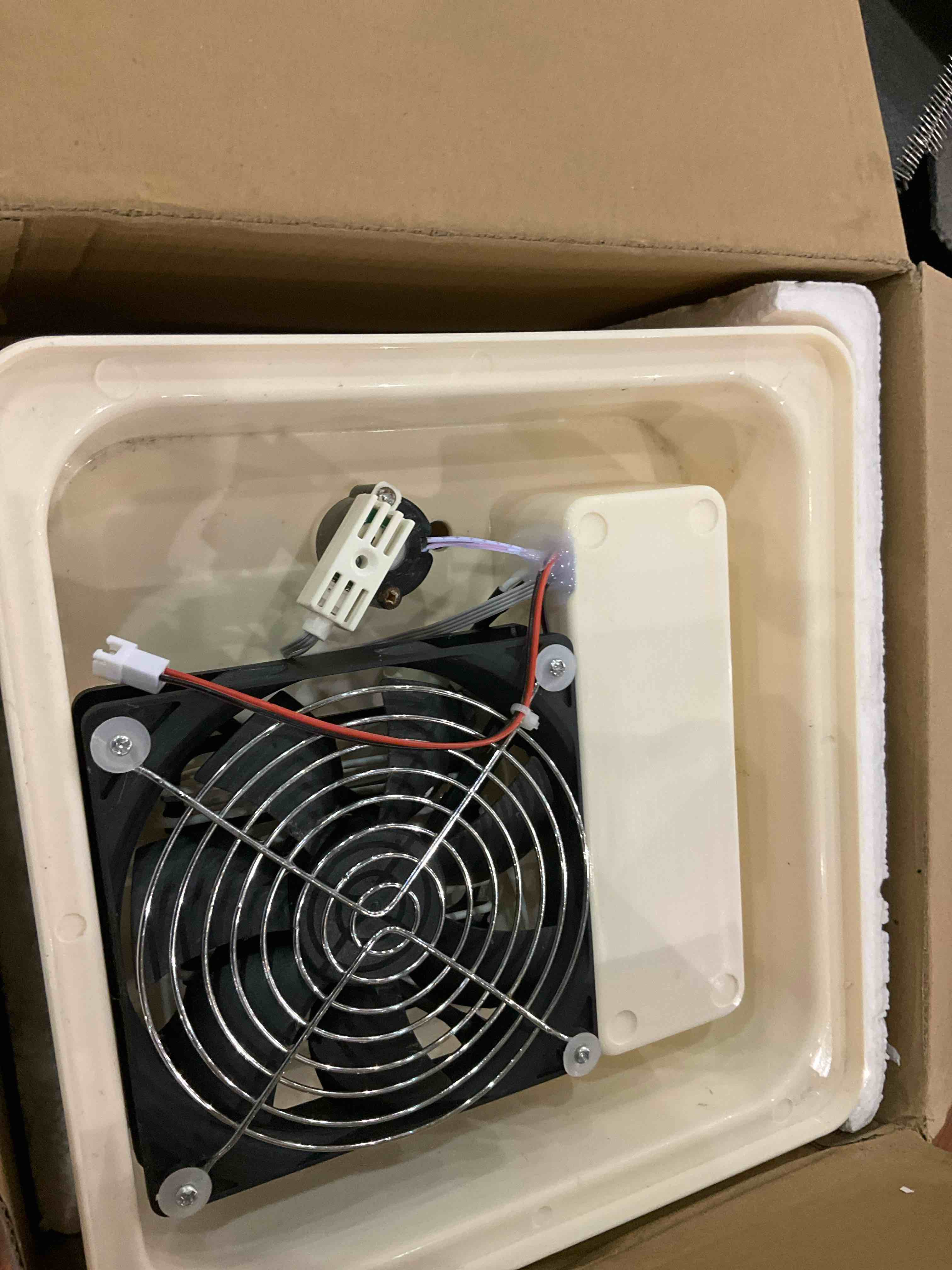 https://s3.amazonaws.com/lotting-images-prod/BargainHunt/EXS01252745_1712669710957.jpeg
