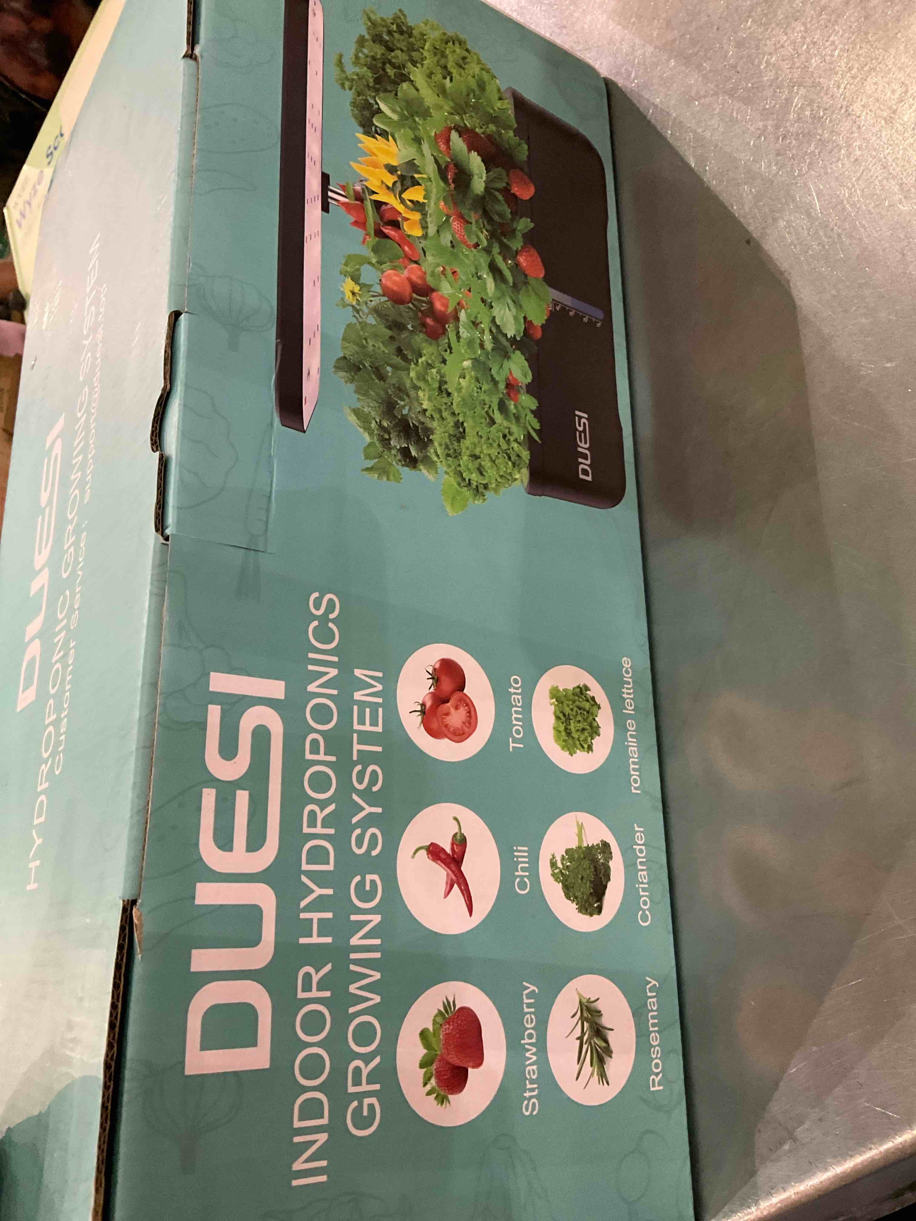 https://s3.amazonaws.com/lotting-images-prod/BargainHunt/EXS01259787_1712065525869.jpeg