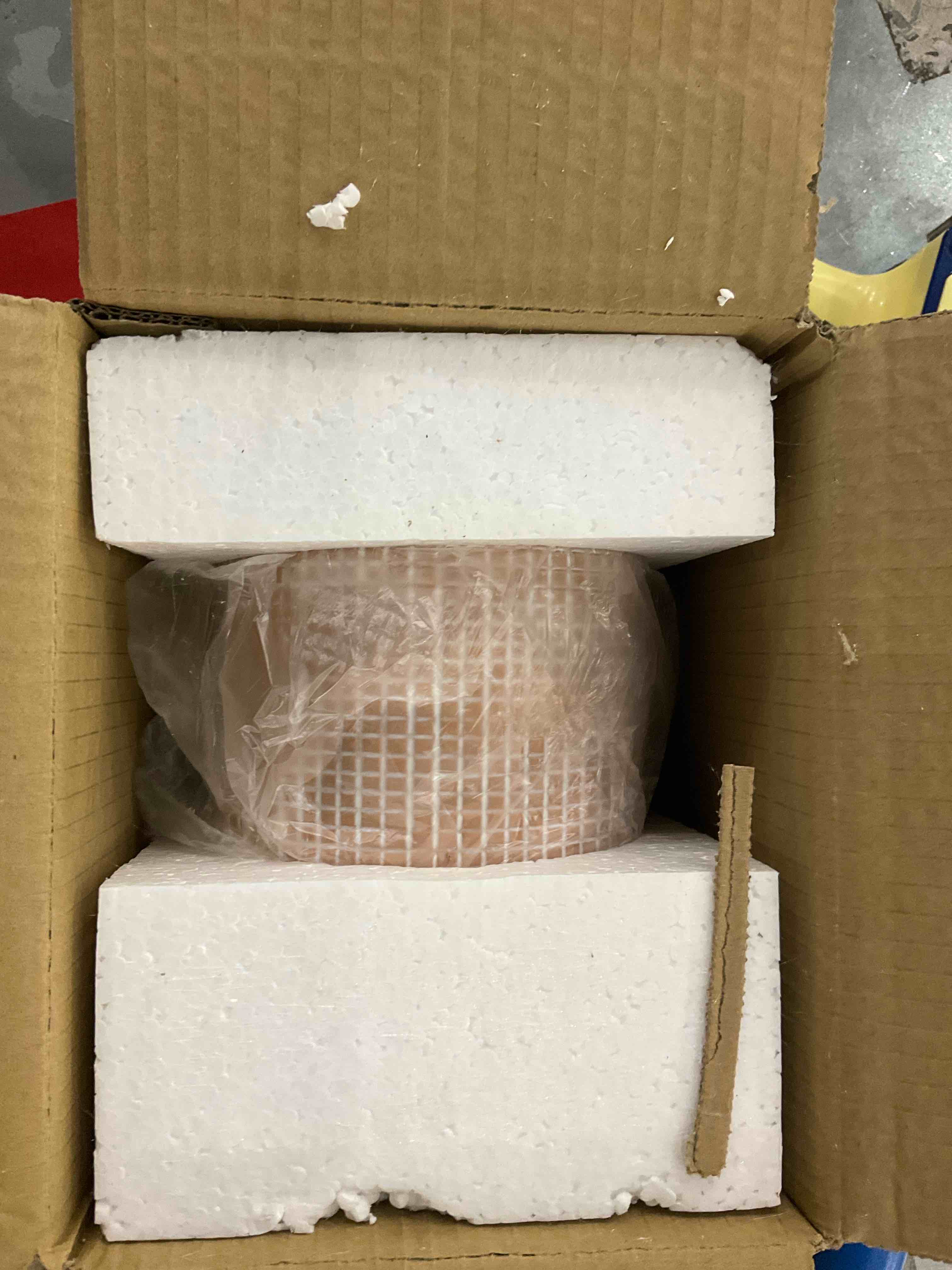 https://s3.amazonaws.com/lotting-images-prod/BargainHunt/EXS01265833_1711453009580.jpeg