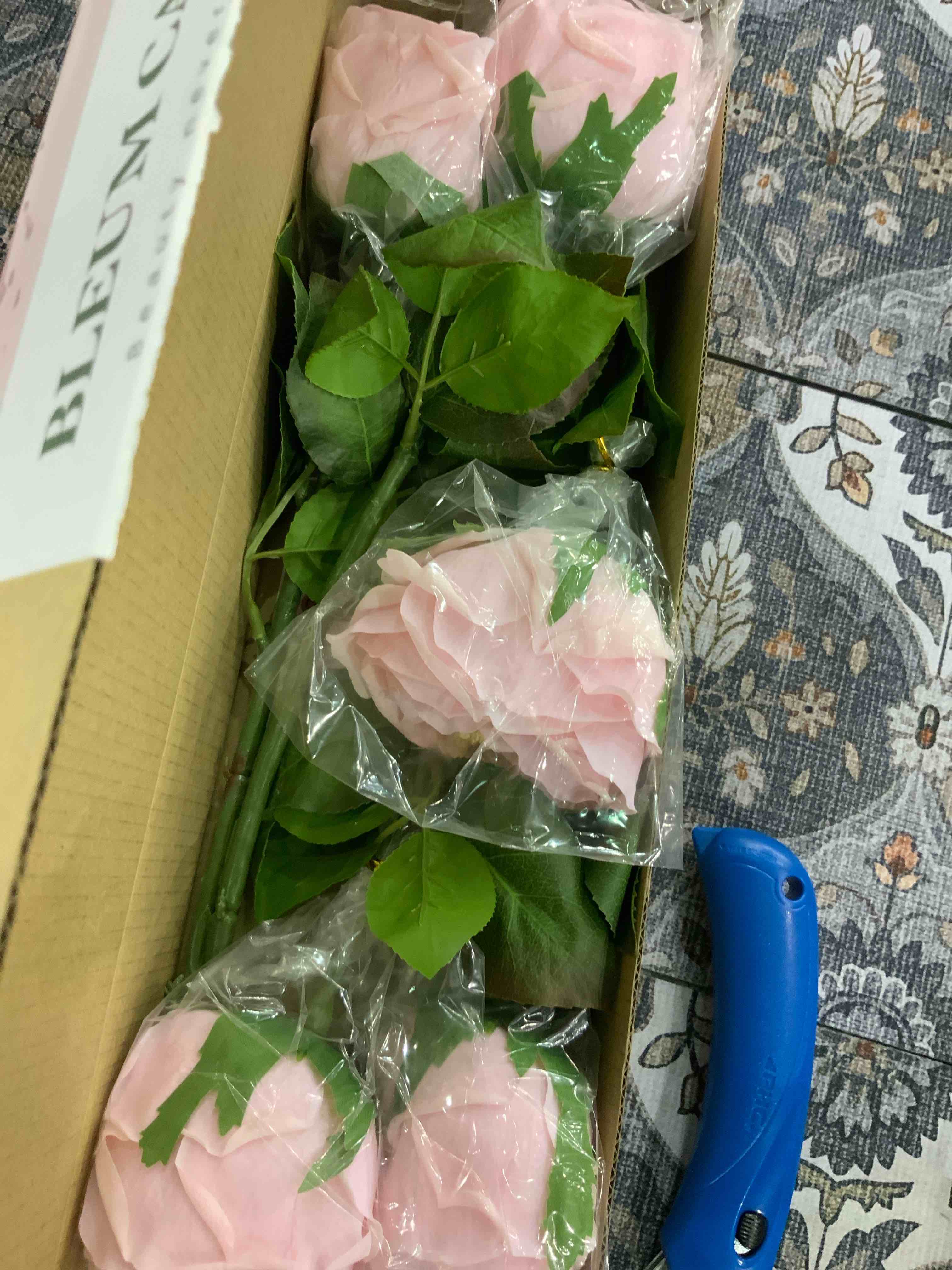 https://s3.amazonaws.com/lotting-images-prod/BargainHunt/EXS01268804_1711538317116.jpeg