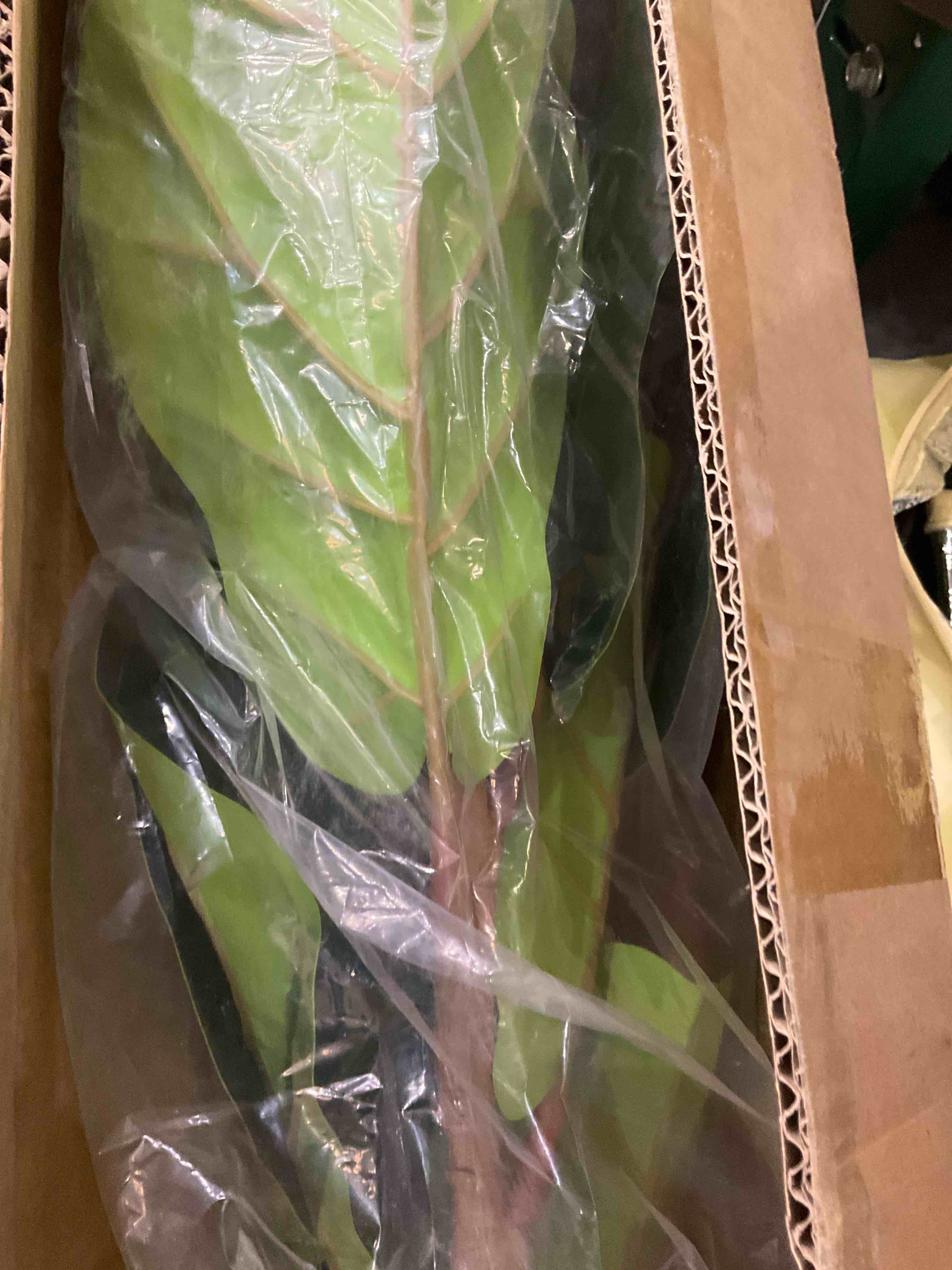 https://s3.amazonaws.com/lotting-images-prod/BargainHunt/EXS01289581_1712159106905.jpeg