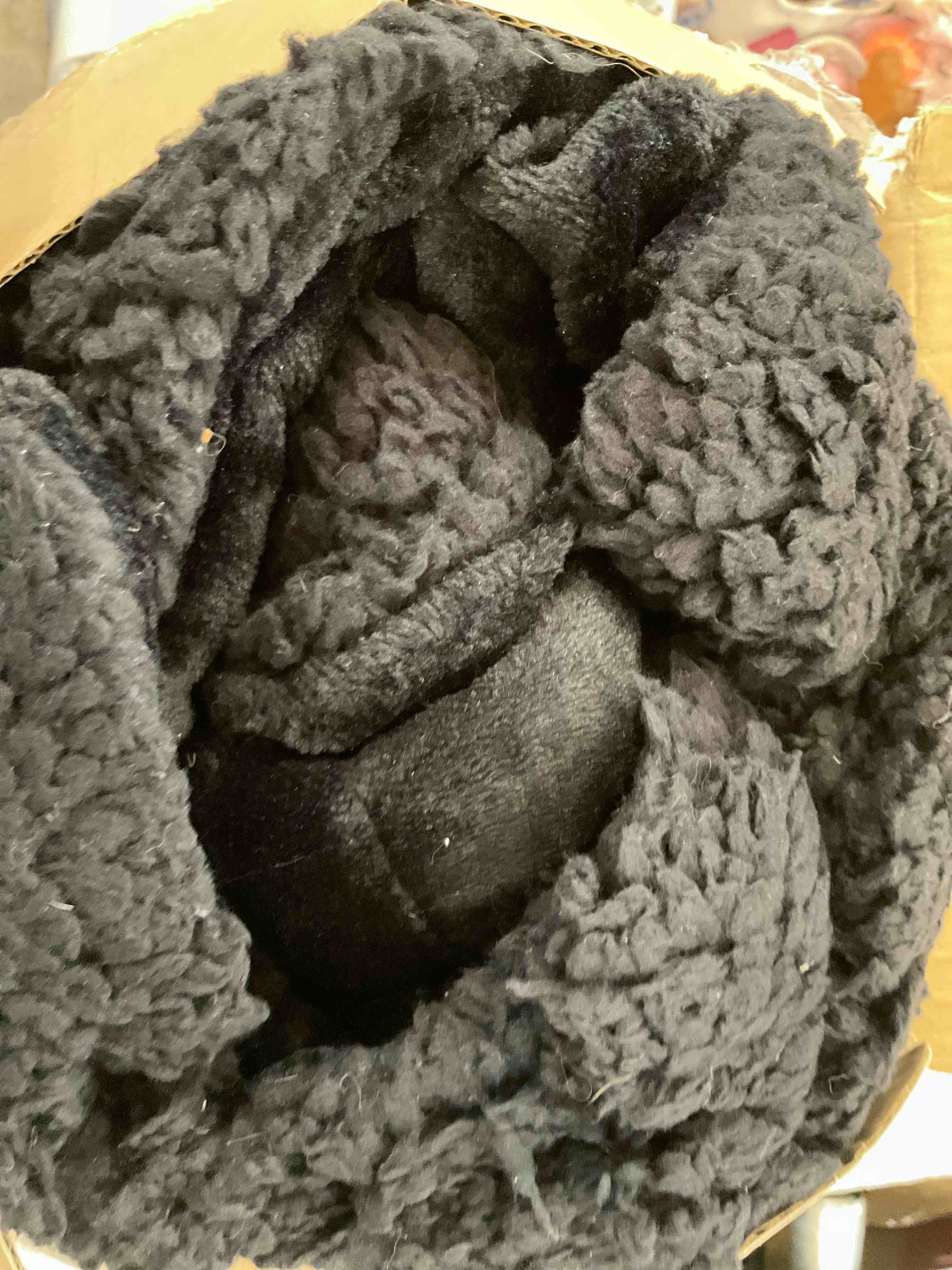 https://s3.amazonaws.com/lotting-images-prod/BargainHunt/EXS01311177_1711041200436.jpeg