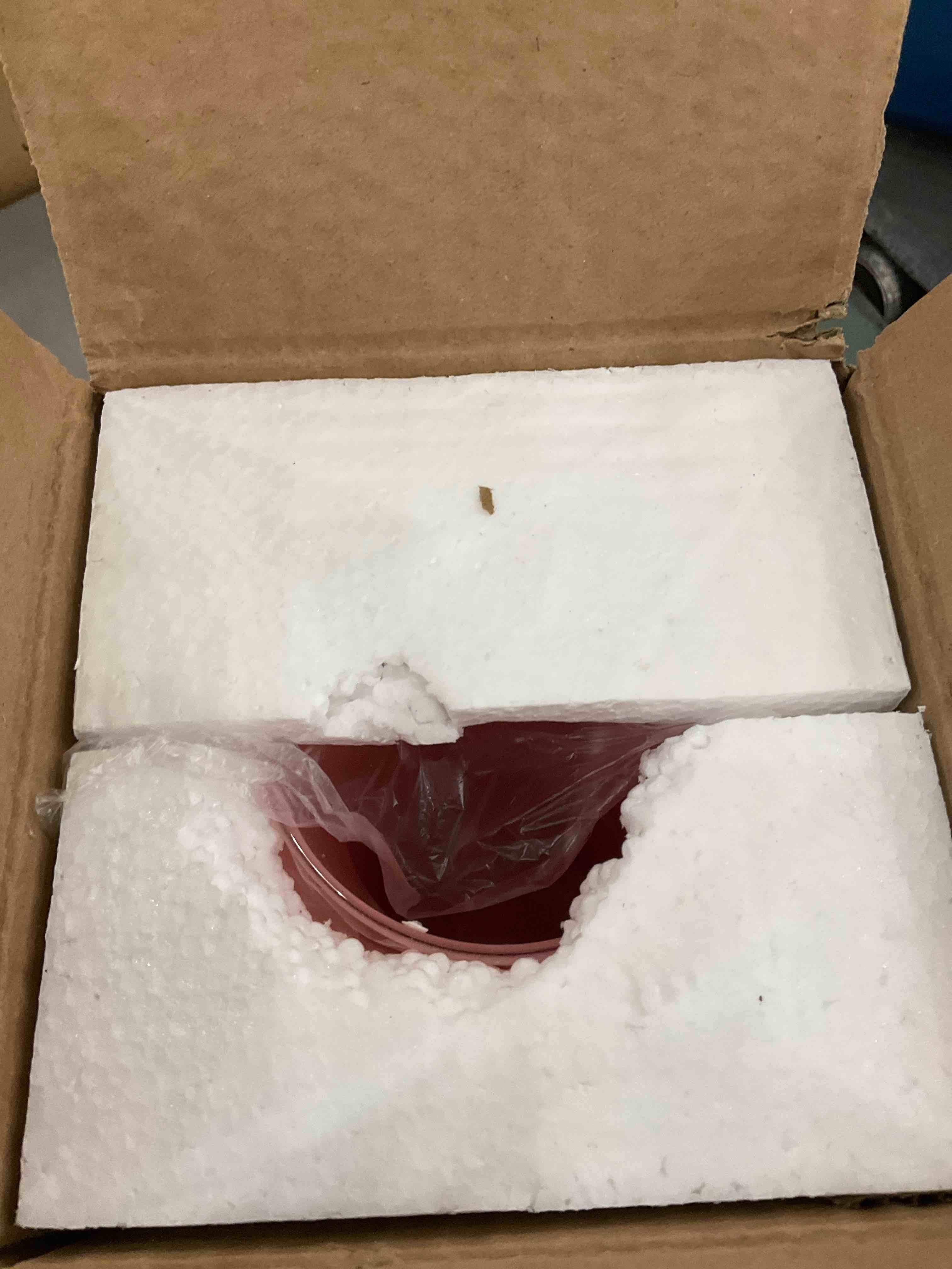 https://s3.amazonaws.com/lotting-images-prod/BargainHunt/EXS01325622_1712238699594.jpeg