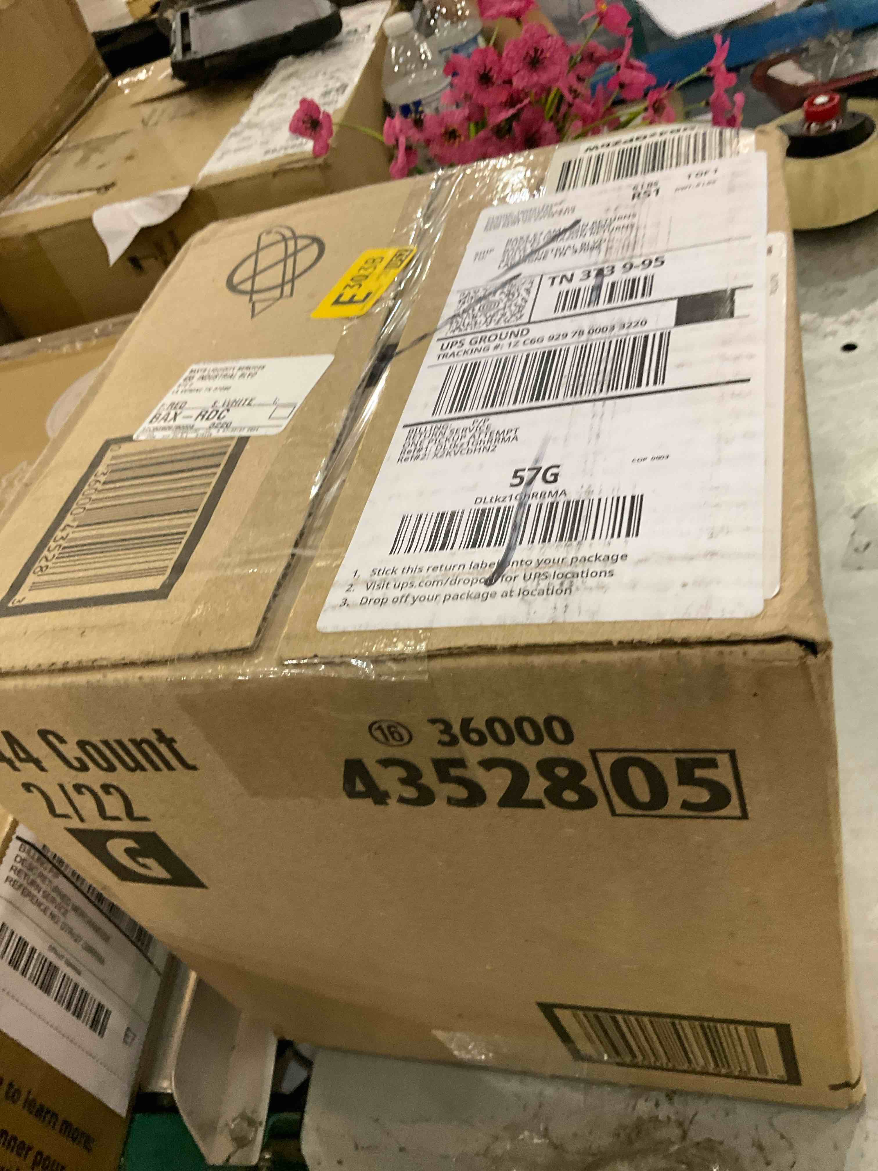 https://s3.amazonaws.com/lotting-images-prod/BargainHunt/EXS01335821_1720620295161.jpeg