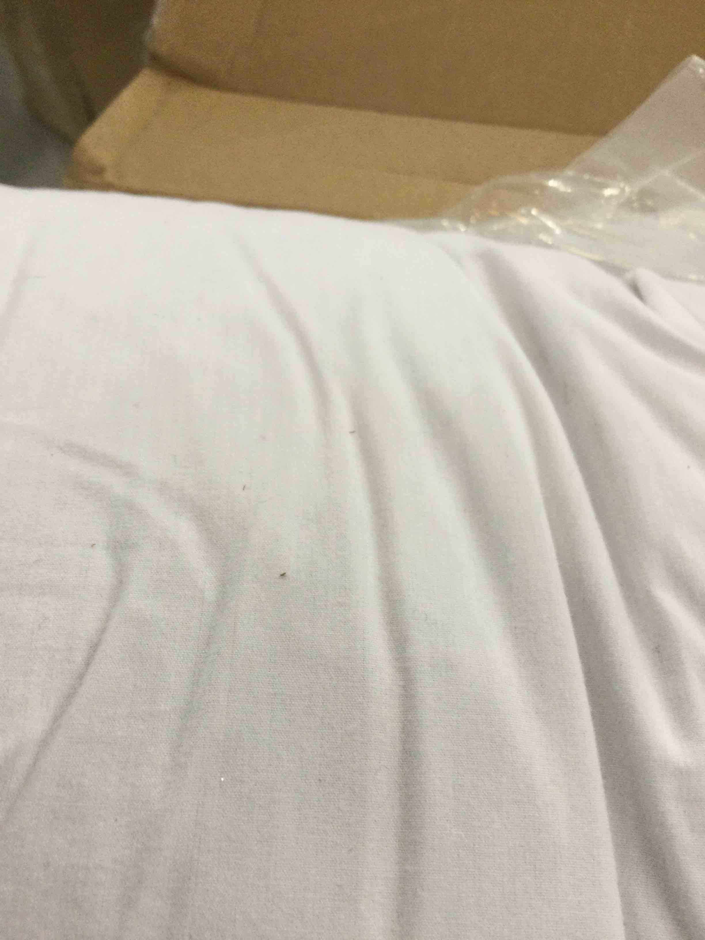 white comforter twin