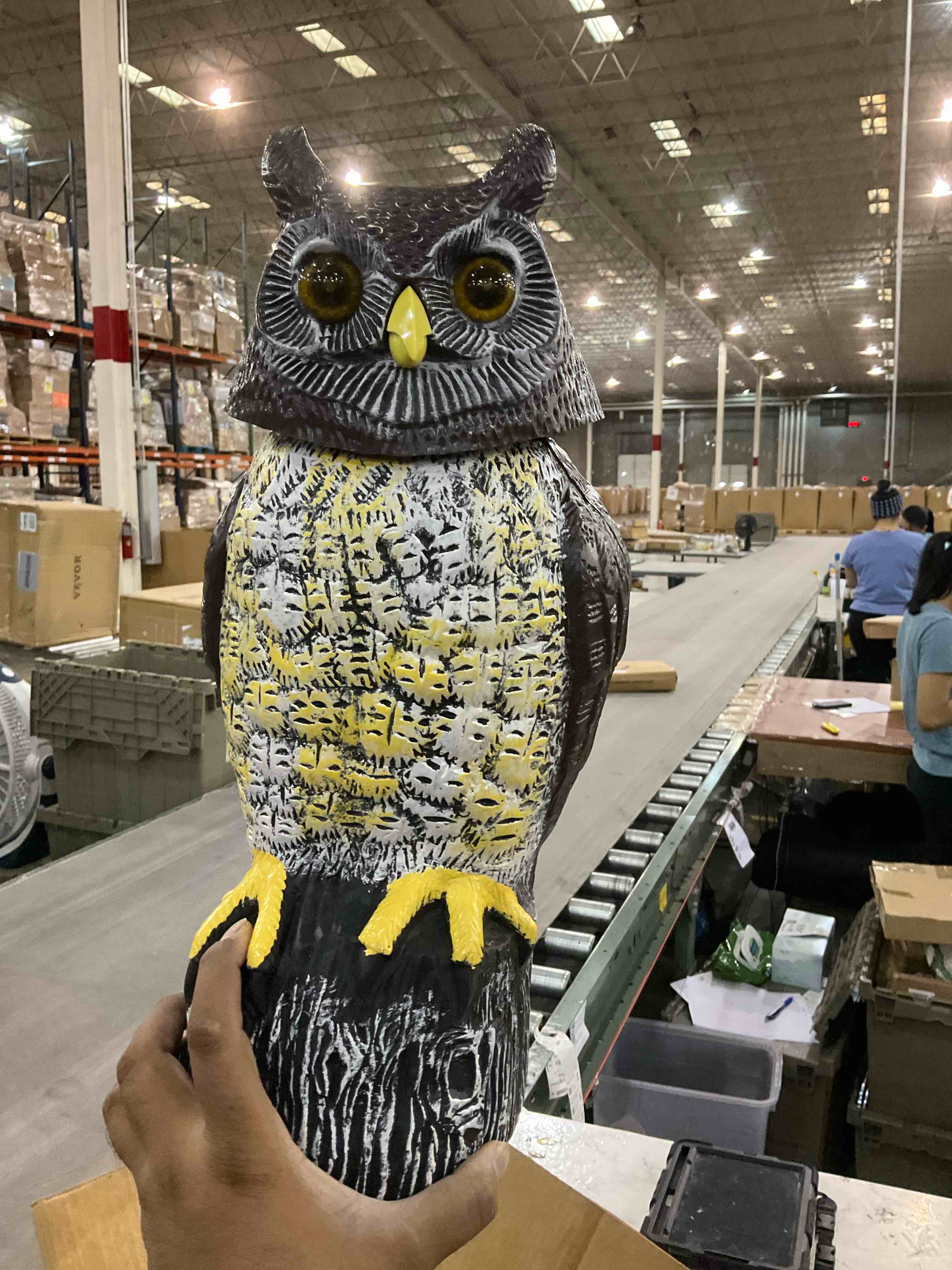 https://s3.amazonaws.com/lotting-images-prod/BargainHunt/EXS01388666_1718192740564.jpeg