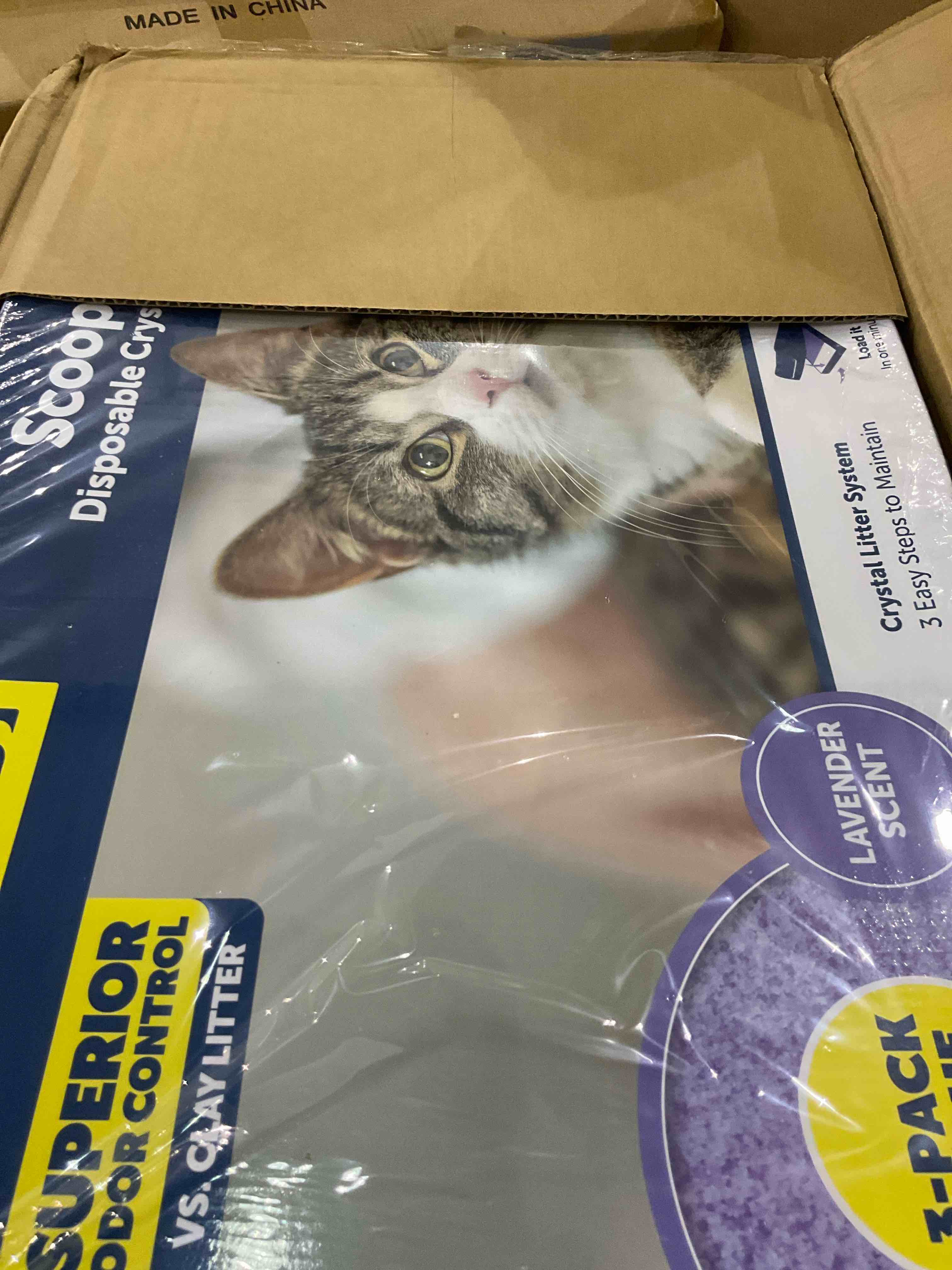 https://s3.amazonaws.com/lotting-images-prod/BargainHunt/EXS01405002_1721992711888.jpeg