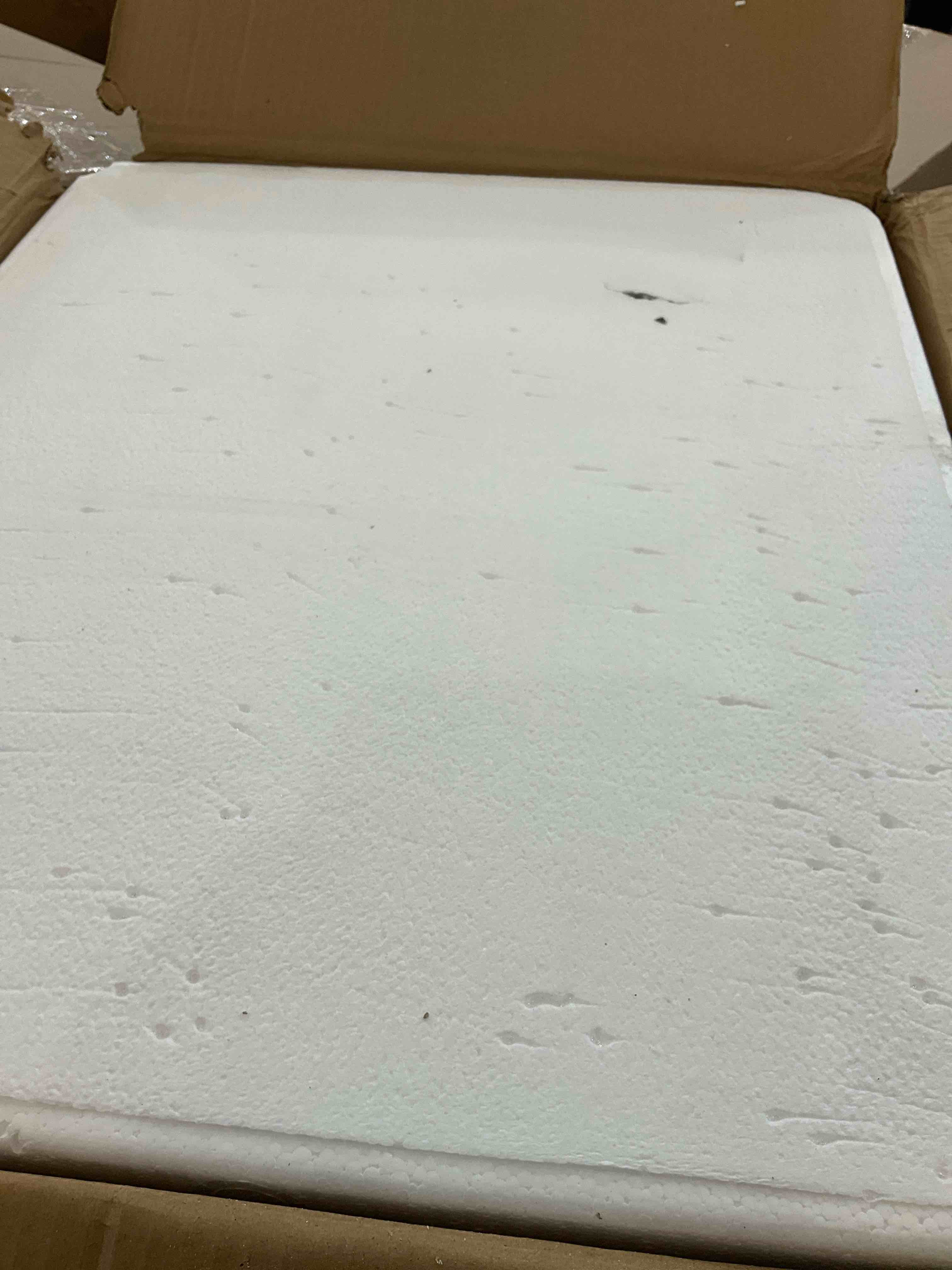 https://s3.amazonaws.com/lotting-images-prod/BargainHunt/EXS01405256_1722273634934.jpeg