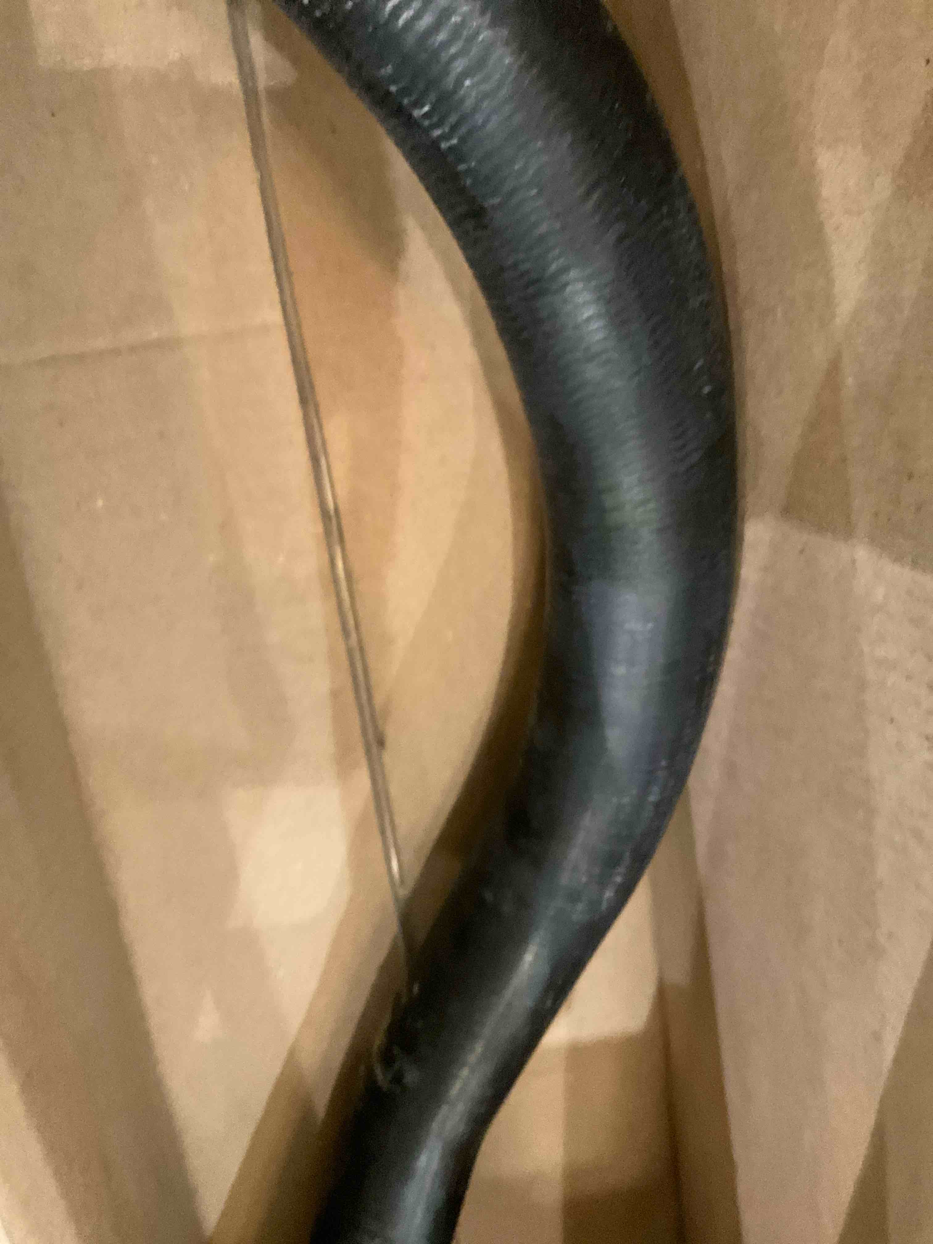 https://s3.amazonaws.com/lotting-images-prod/BargainHunt/EXS01407257_1722351466398.jpeg