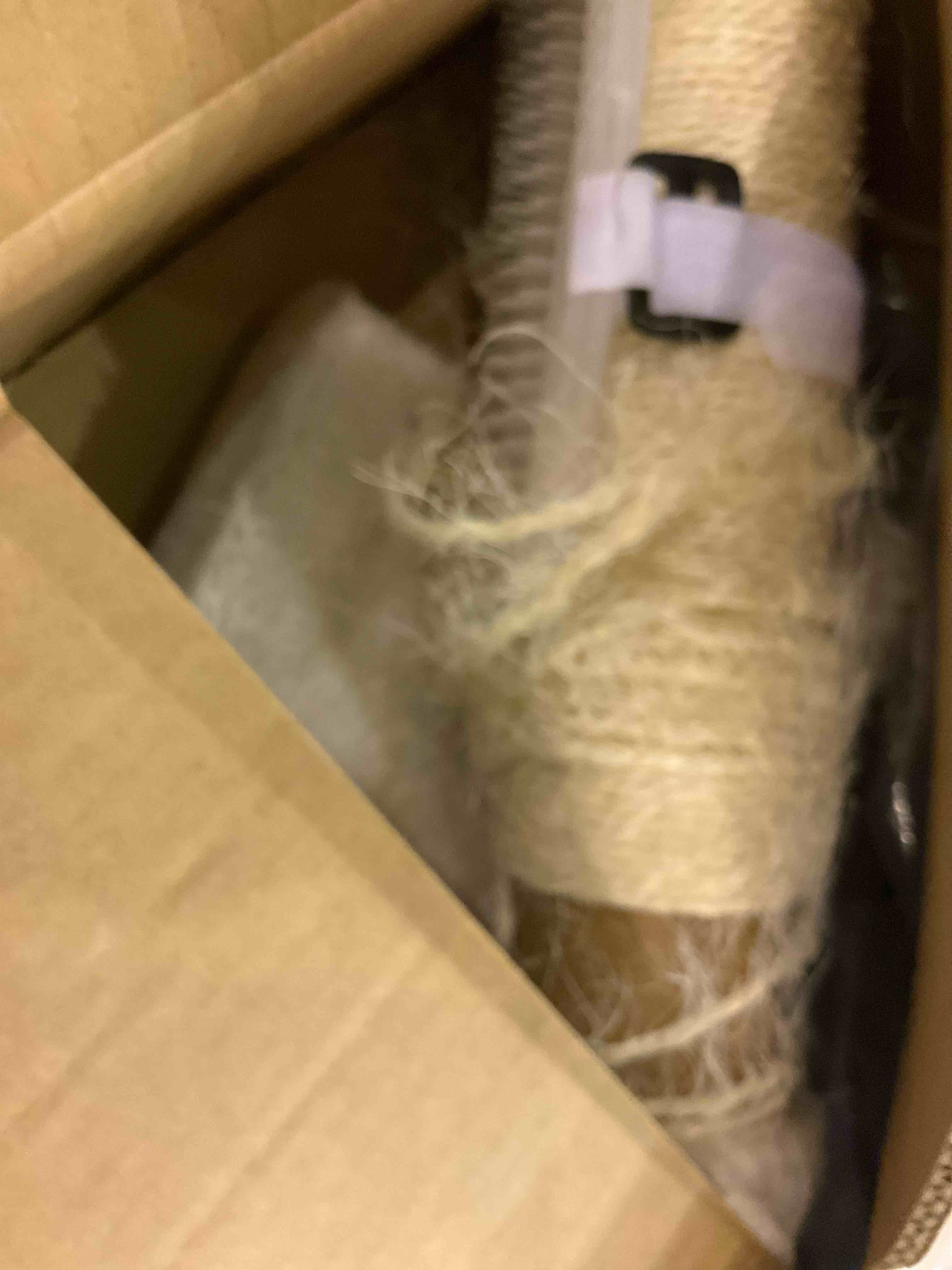 https://s3.amazonaws.com/lotting-images-prod/BargainHunt/EXS01419403_1722604946848.jpeg