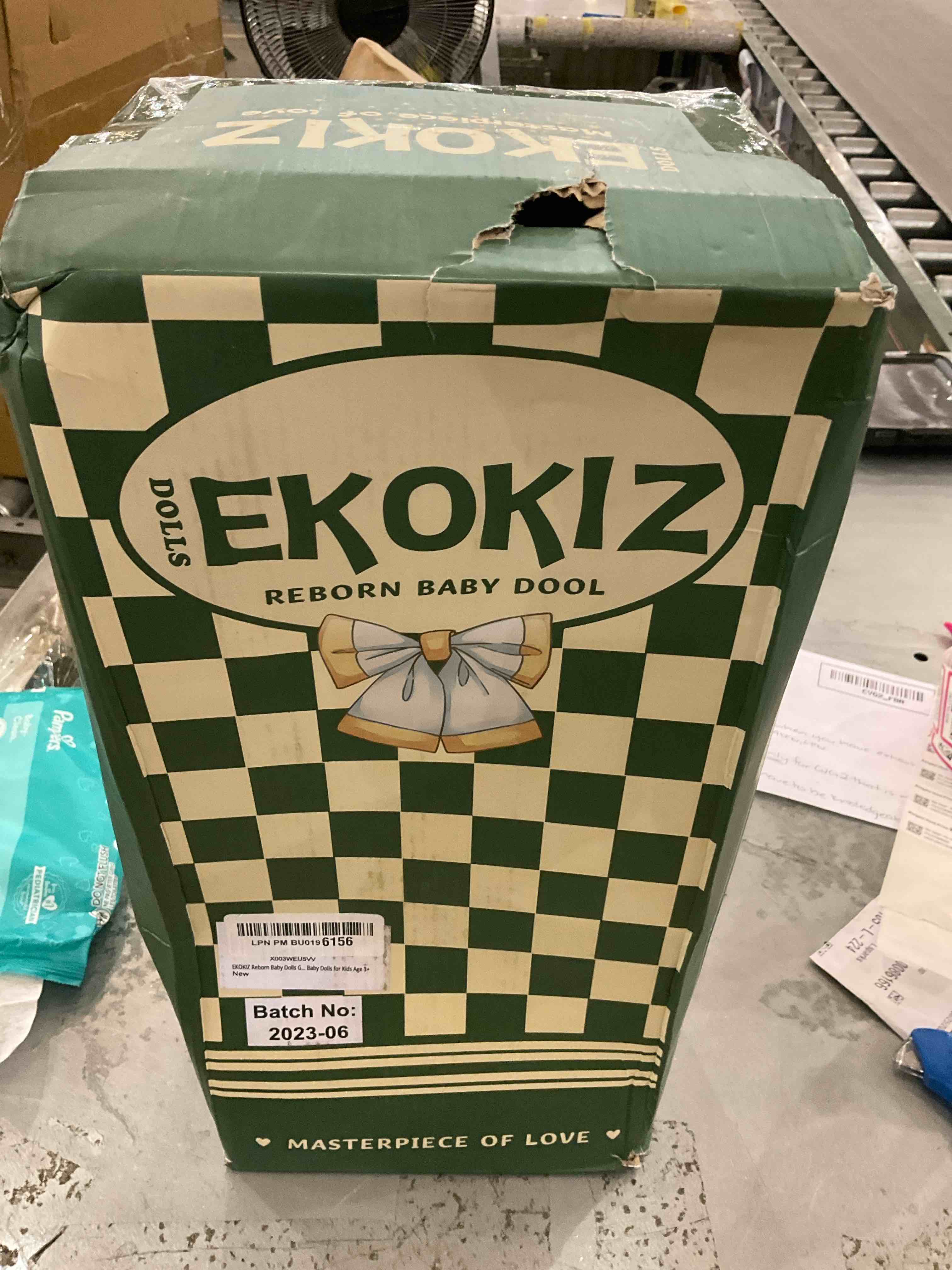 Ekokiz reborn baby fool