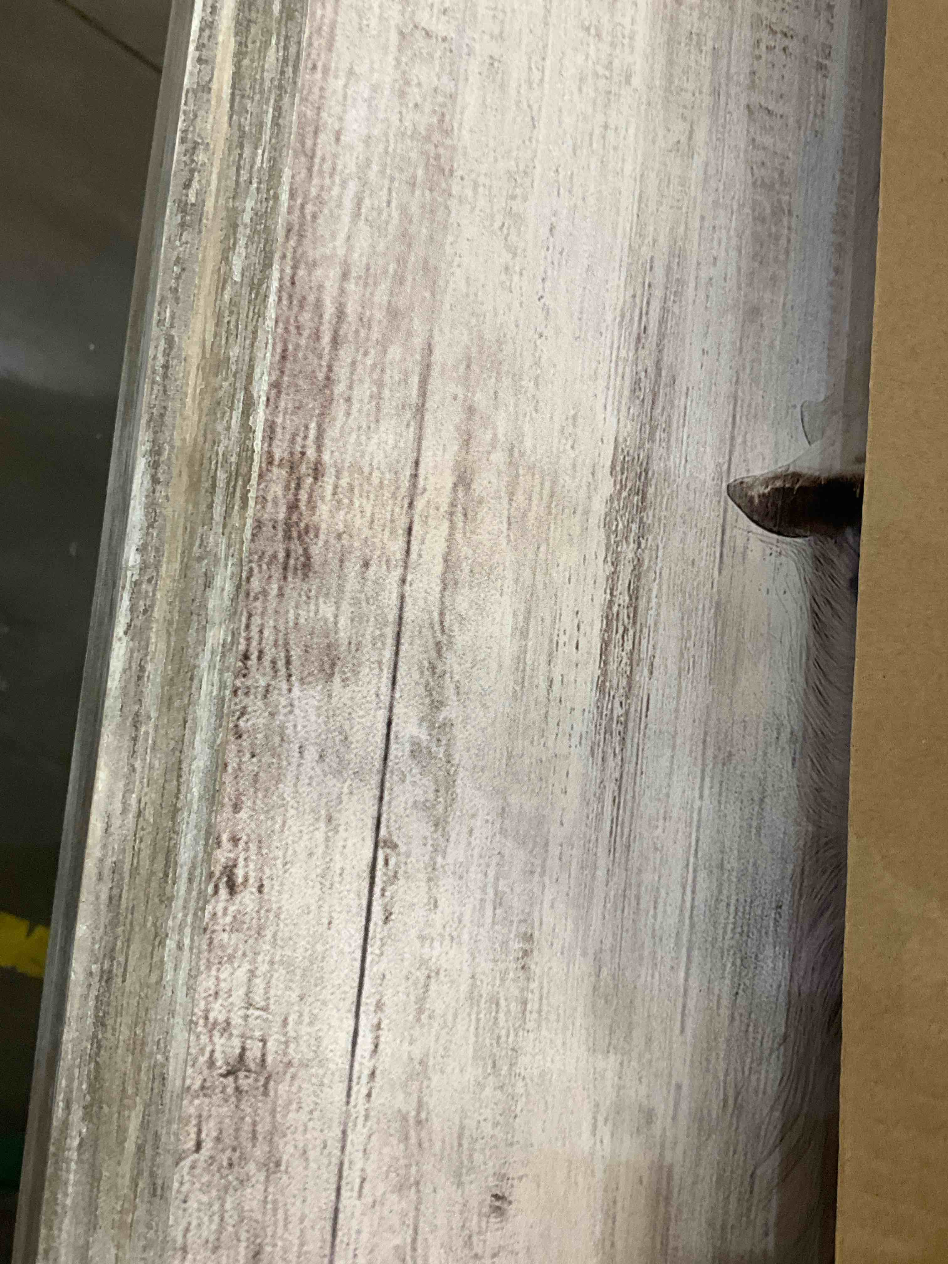 https://s3.amazonaws.com/lotting-images-prod/BargainHunt/EXS01440371_1717771571503.jpeg